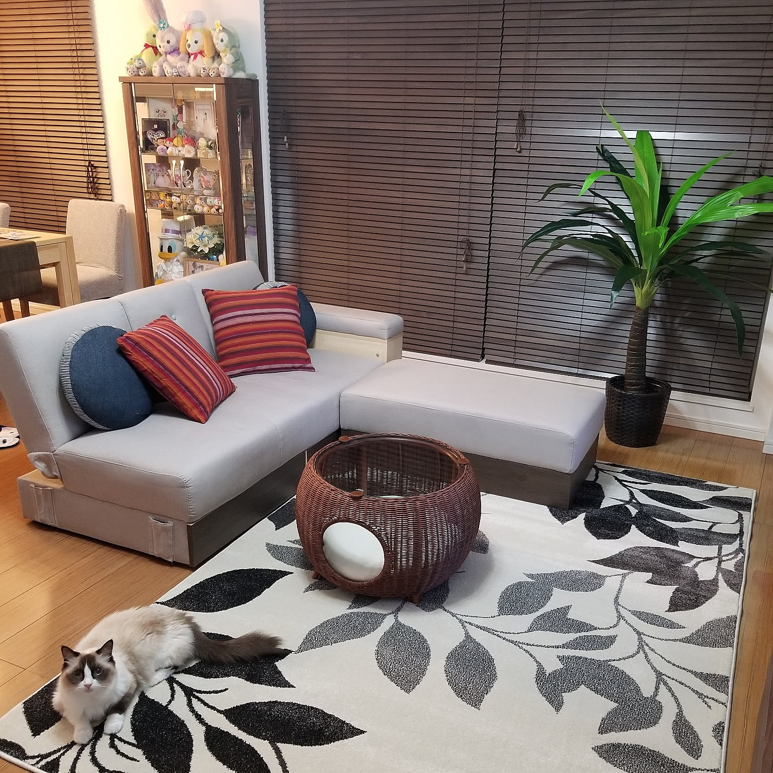 お部屋の主役にぴったり ニトリのラグがある暮らし Roomclip Mag 暮らしとインテリアのwebマガジン お部屋の主役にぴったり ニトリのラグがある暮らし Roomclip Mag 暮らしとインテリアのwebマガジン