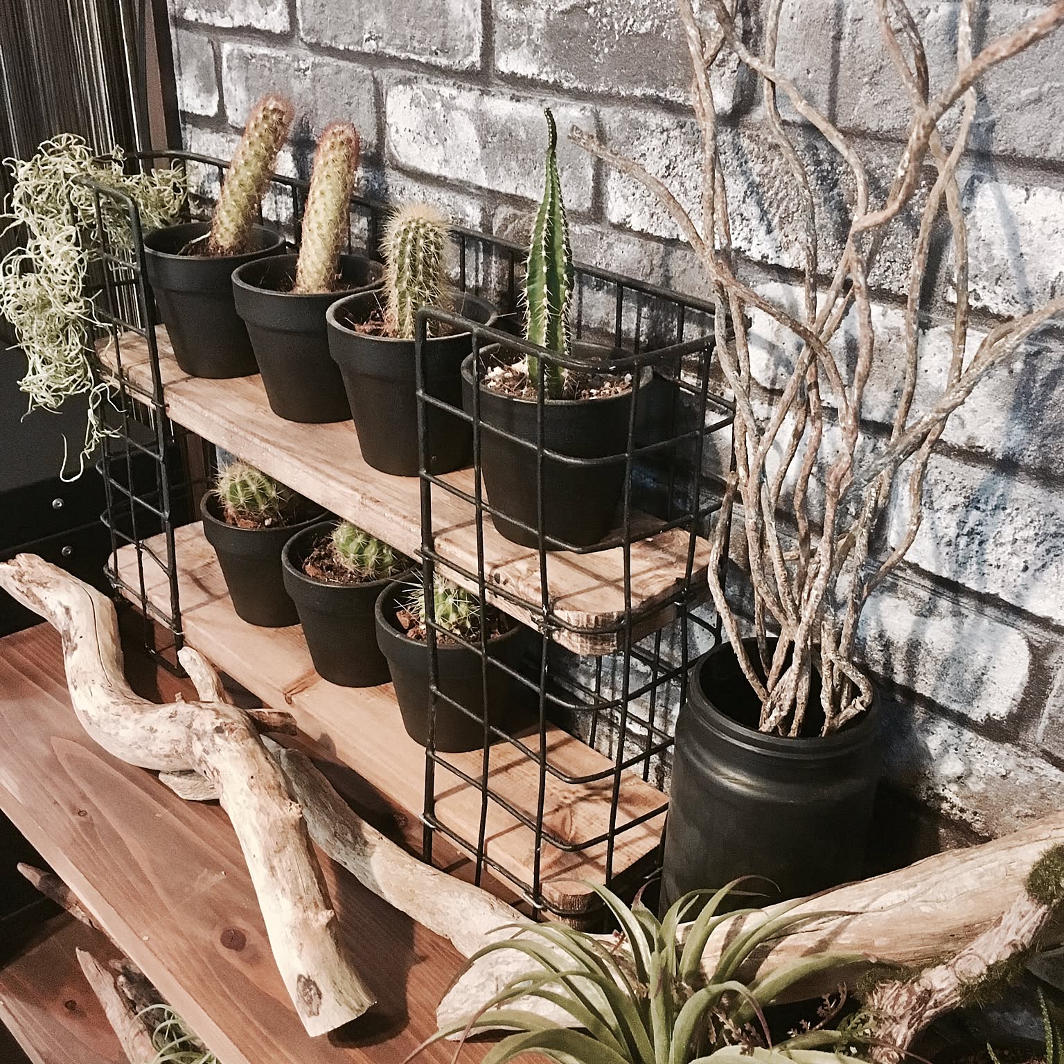 インテリアに映える ダイソーのワイヤーネット活用術 Roomclip Mag 暮らしとインテリアのwebマガジン