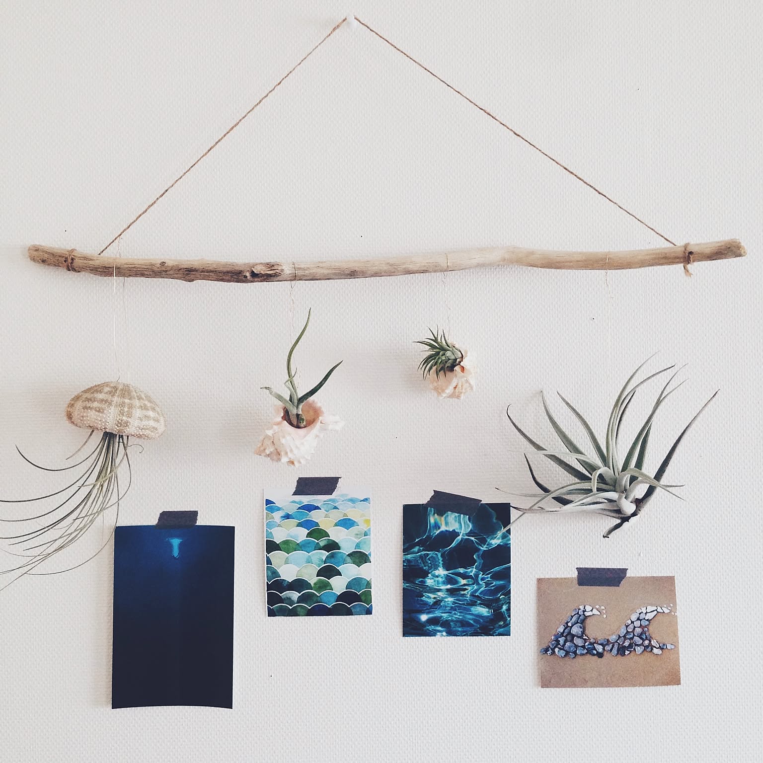 Diyでいつものエアプランツが見違える 取り入れやすい実例10選 Roomclip Mag 暮らしとインテリアのwebマガジン