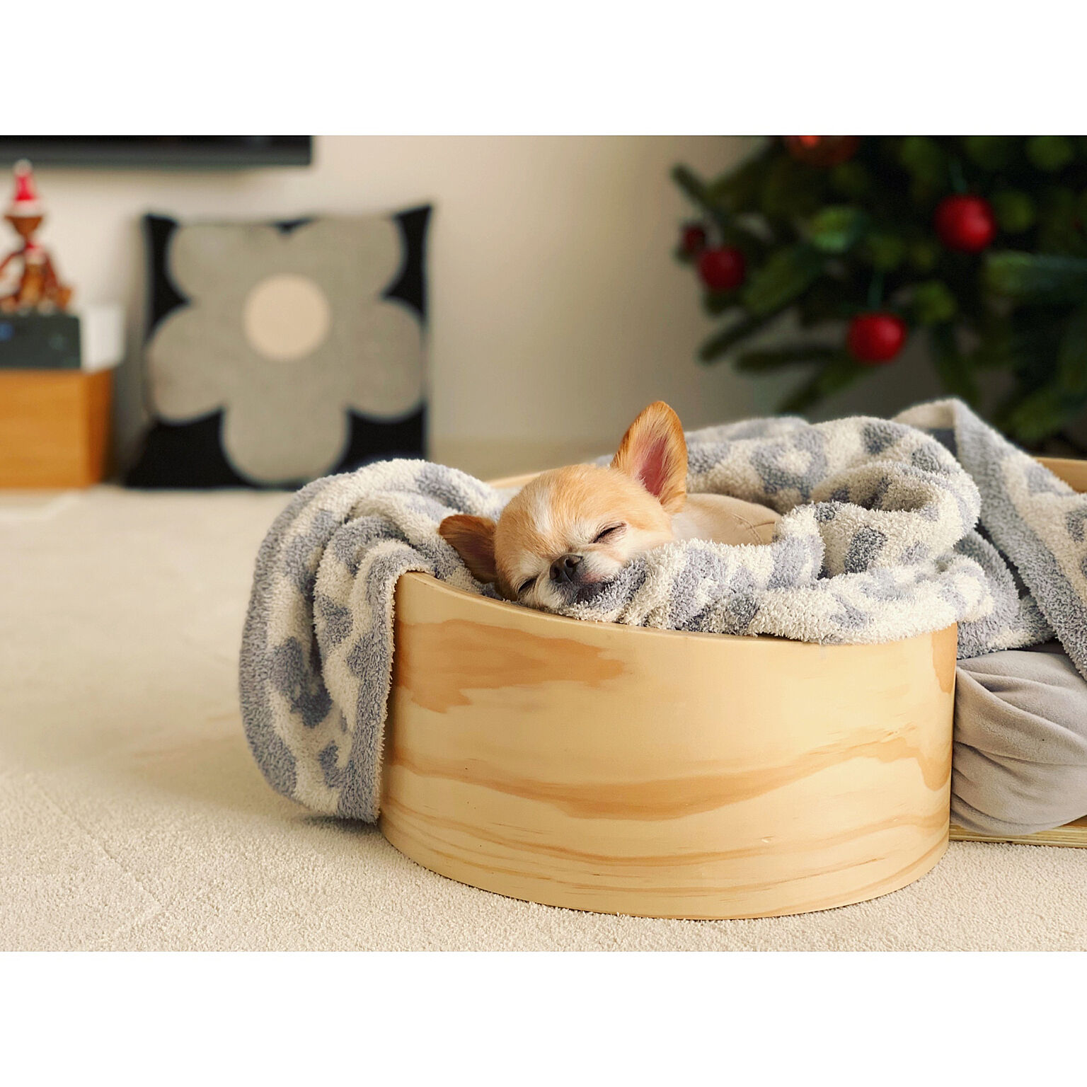 犬との暮らしをより豊かに 快適な空間づくりのアイデア集 Roomclip Mag 暮らしとインテリアのwebマガジン