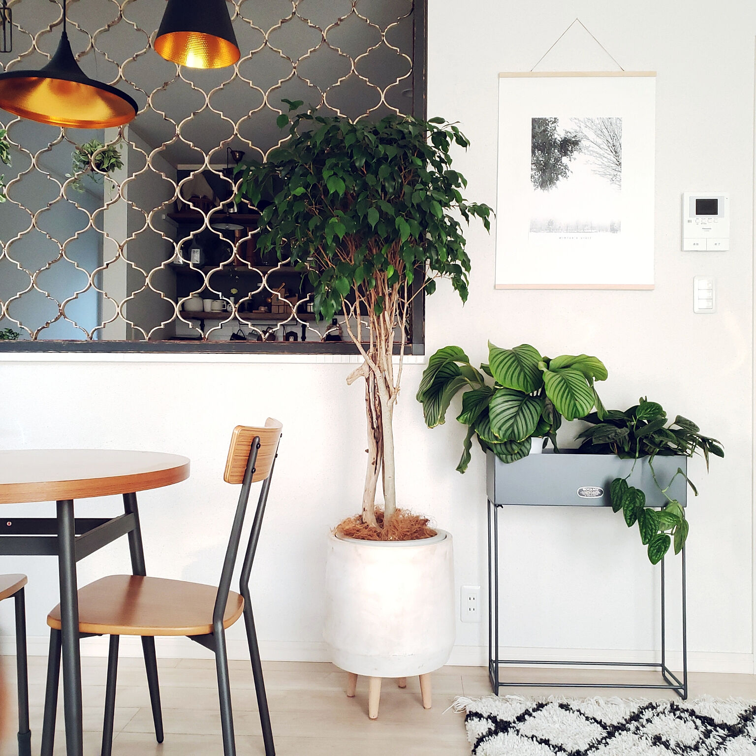 カッコいい定位置をお部屋に 観葉植物を格上げするプラントスタンド Roomclip Mag 暮らしとインテリアのwebマガジン