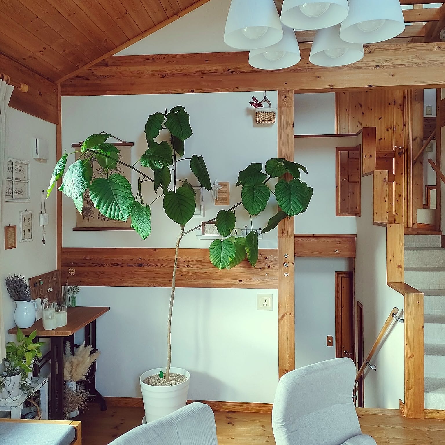 【今週の〇〇】テーマは「植物」！最新の投稿写真をピックアップ