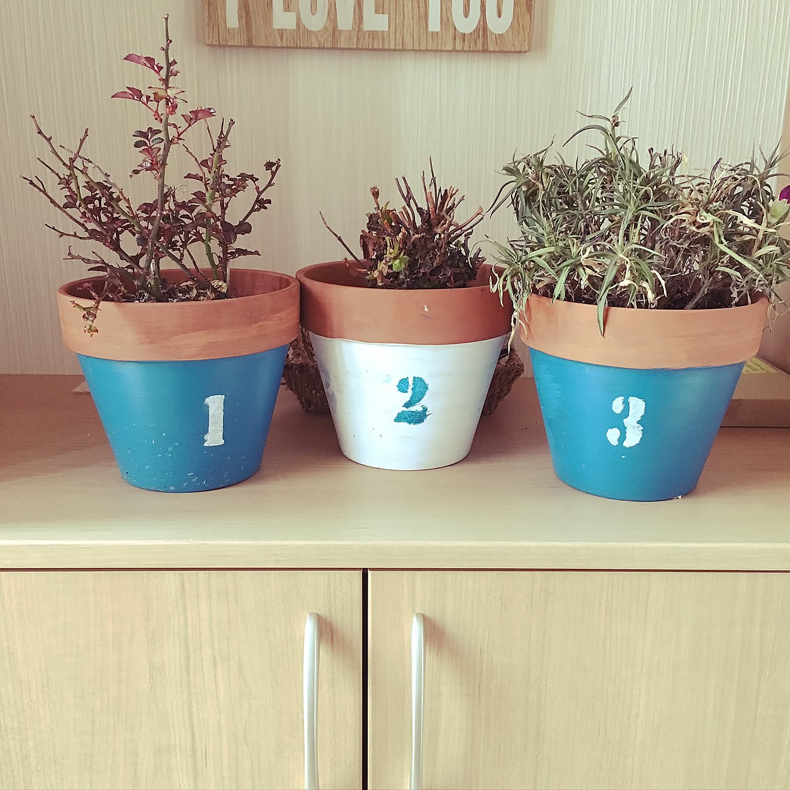 DIYで大変身！ダイソーの植木鉢を使ったリメイクアイデア集