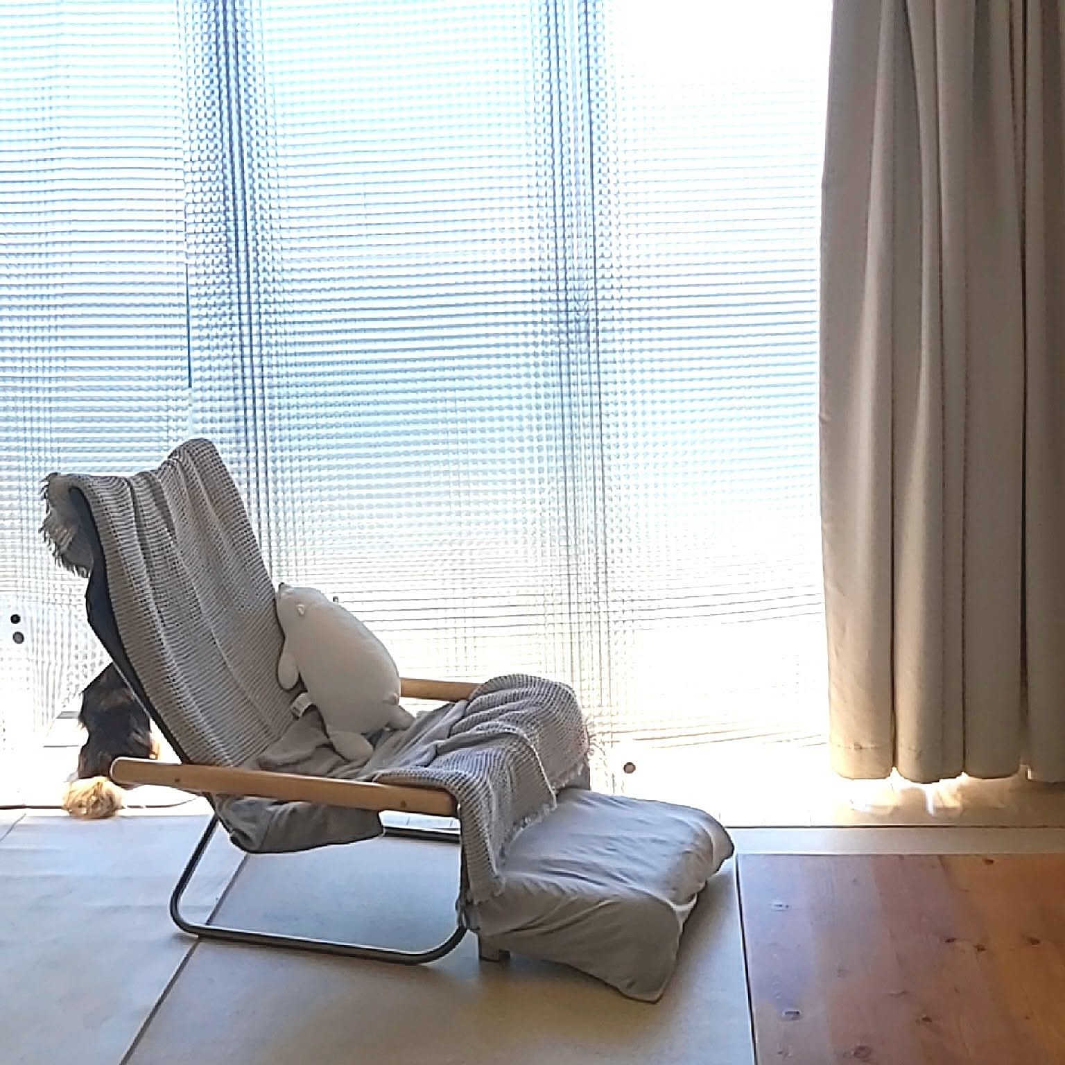 使い方は無限大！シャワーカーテンの活用アイディア6選