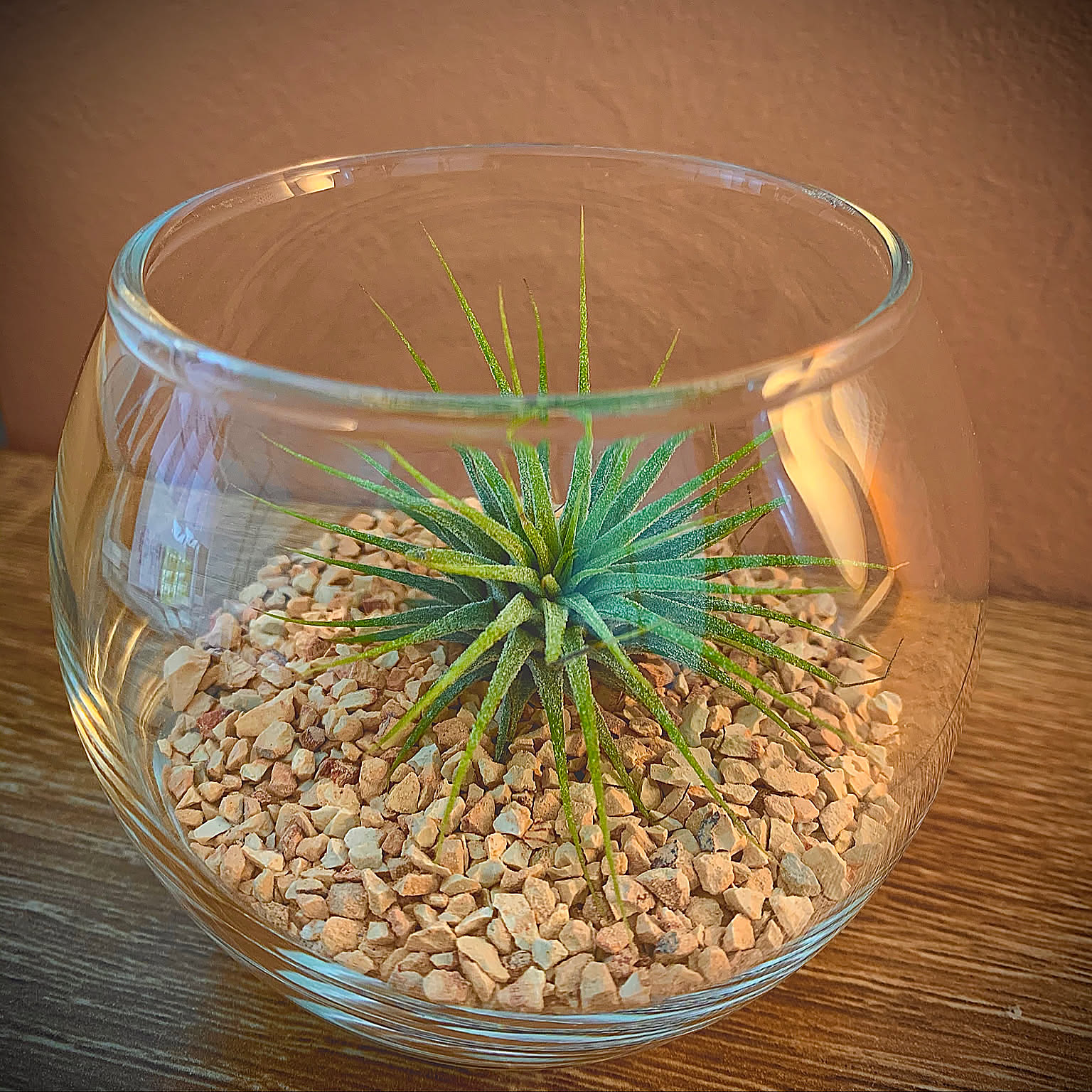 取り入れるだけでセンスアップ!無印良品のインテリアグリーンと関連グッズをご紹介