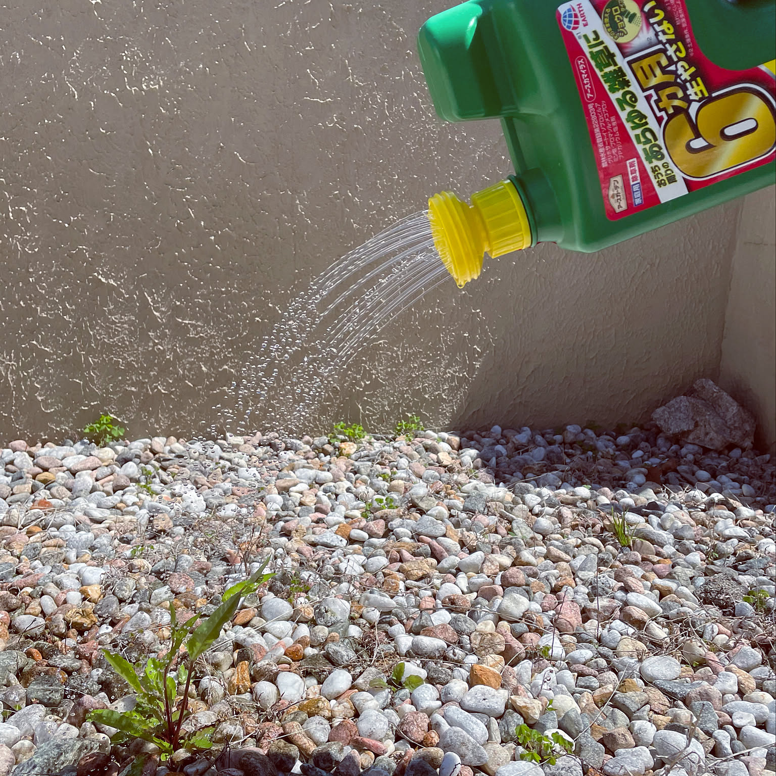 お庭でも駐車場でも！夏が来る前に、雑草のお悩みを除草剤で解決♪