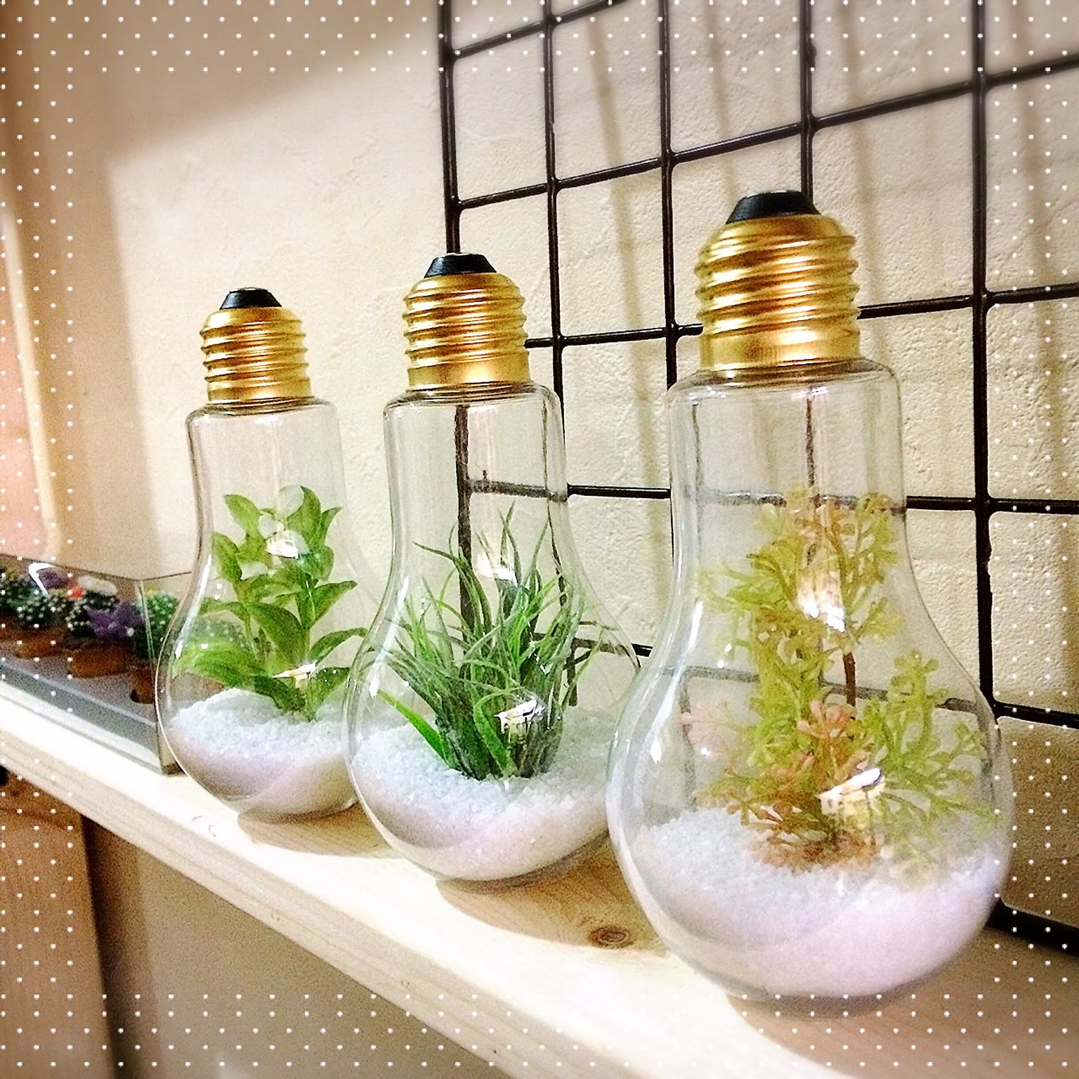 これは買い♡絶対欲しくなるセリアの大人気アイテム11選