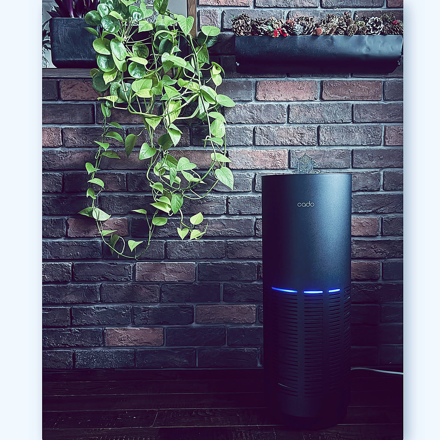 ニオイや花粉が気になったら空気清浄機におまかせ！お部屋に合う1台をご紹介