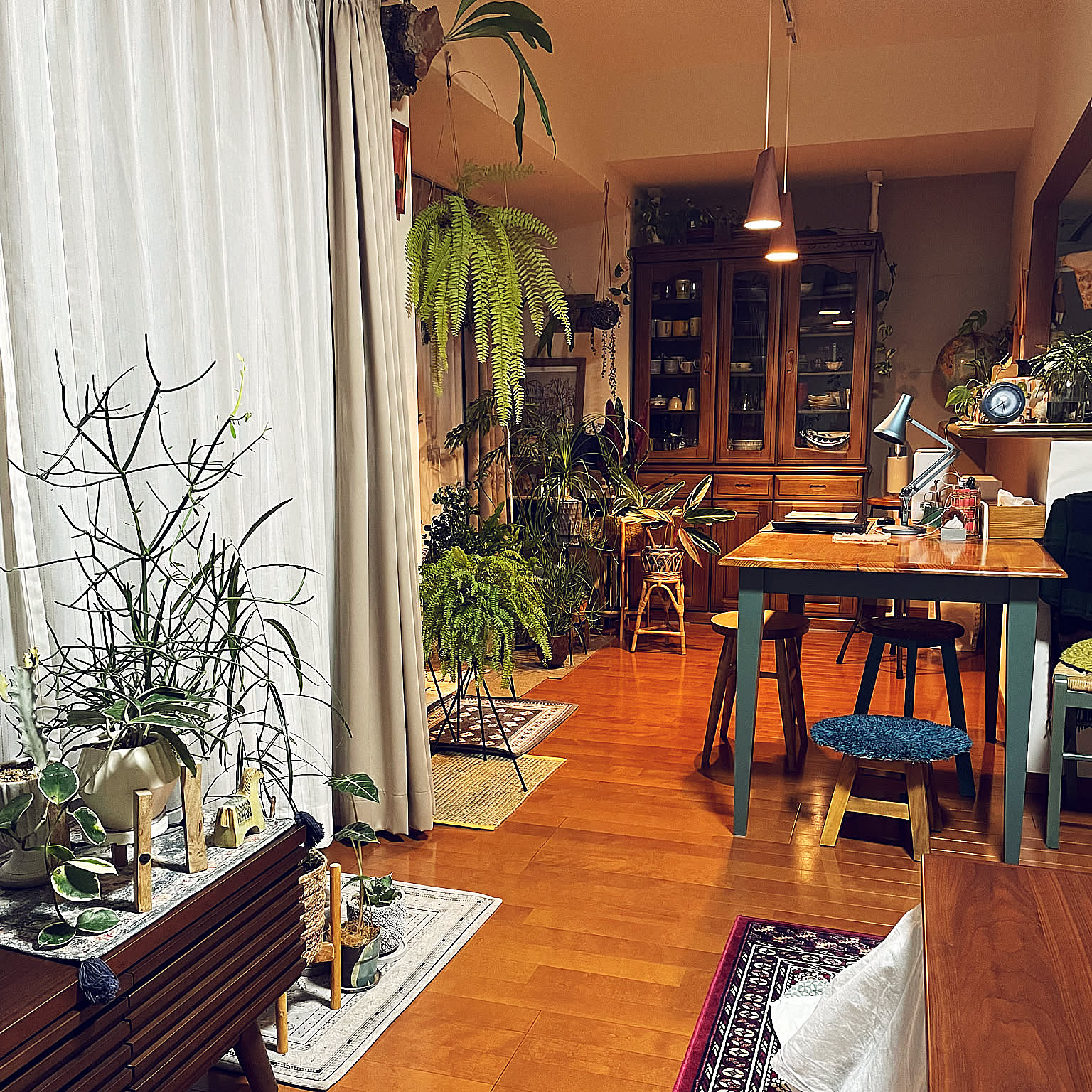 【今週の〇〇】テーマは「植物のある暮らし」！最新の投稿写真をピックアップ