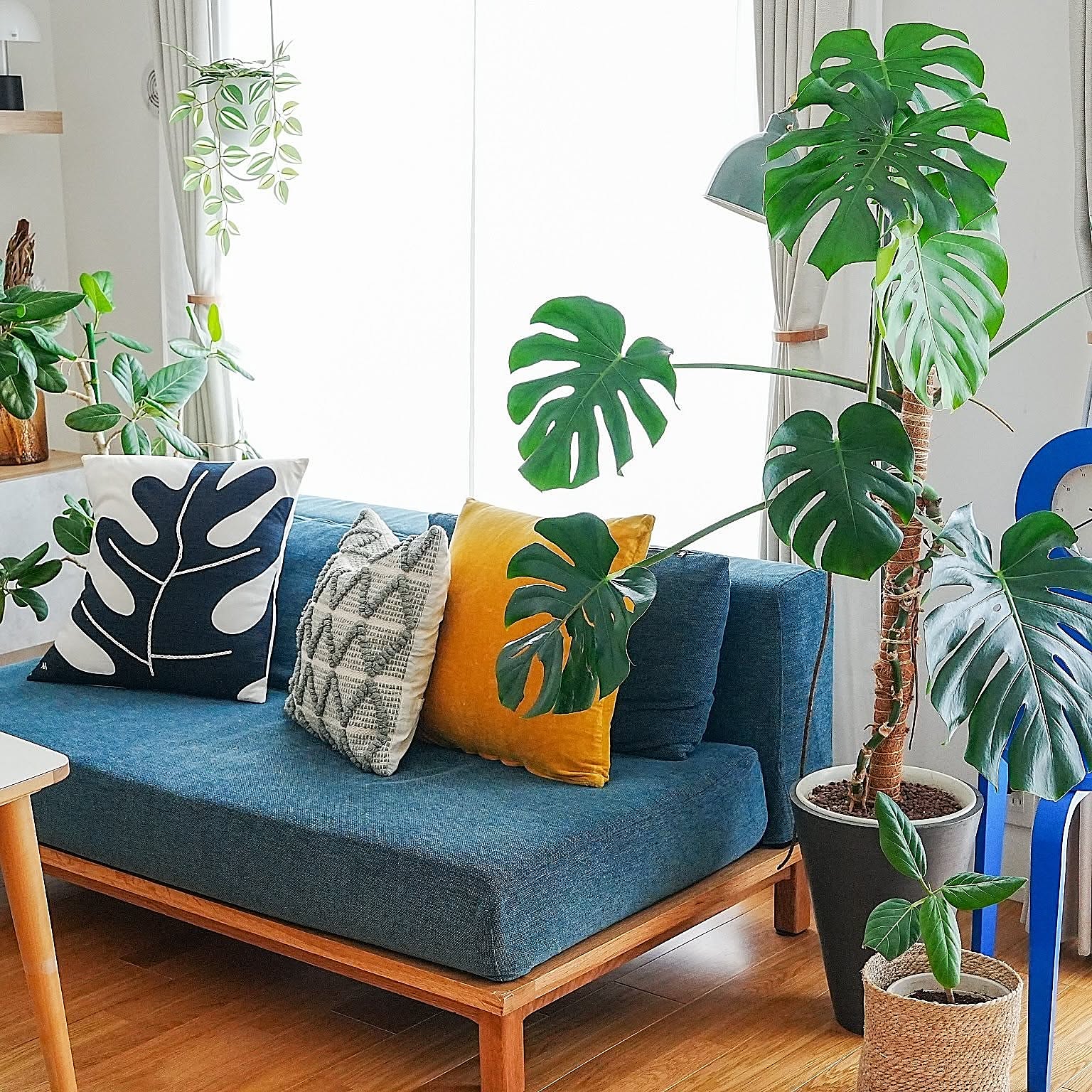 スタイリッシュで育てやすい品種が勢ぞろい！インテリアにおすすめの観葉植物10選