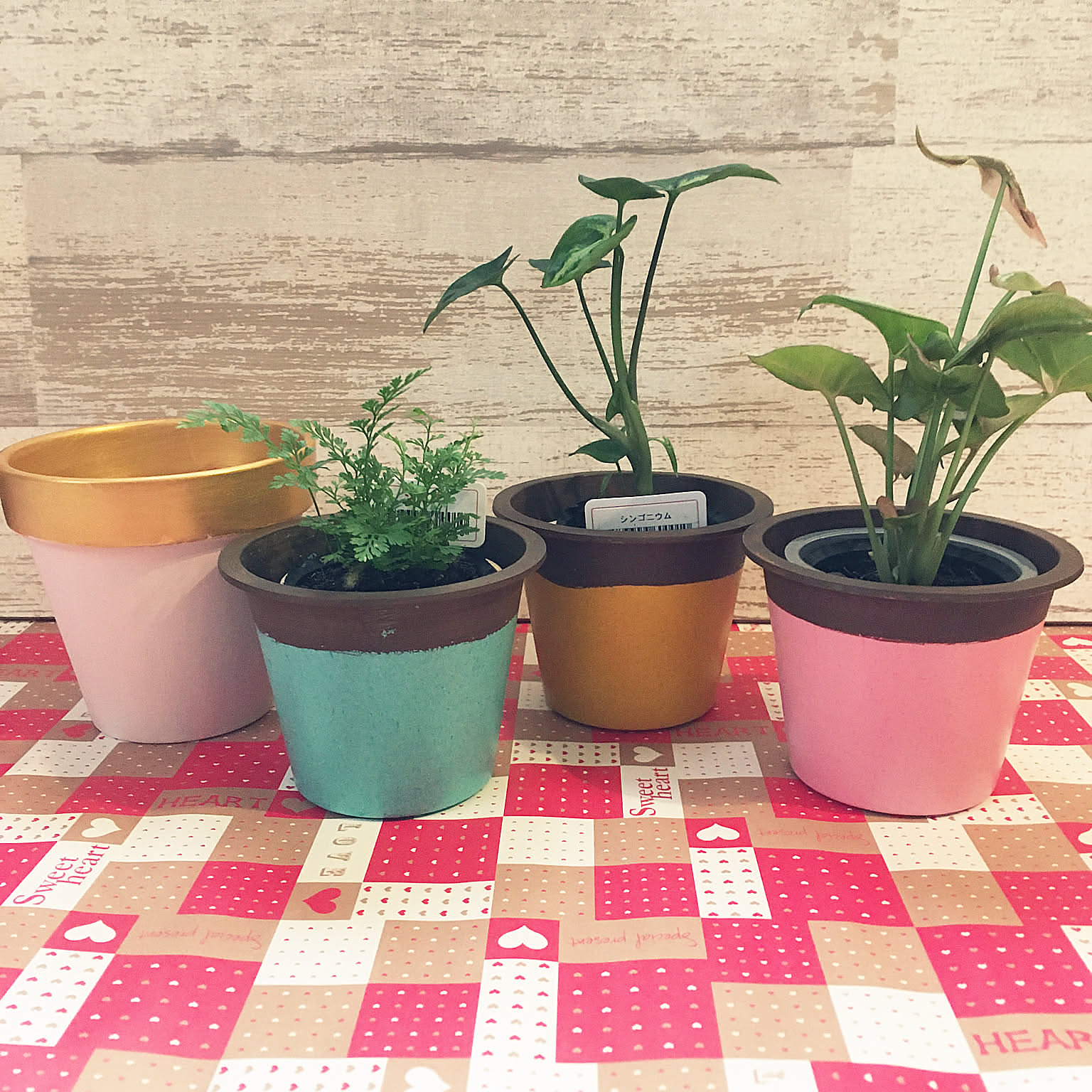 貼ったり塗ったりの簡単アレンジで自分好みに大変身♡ダイソーの植木鉢でリメイク＆DIYを楽しみませんか？