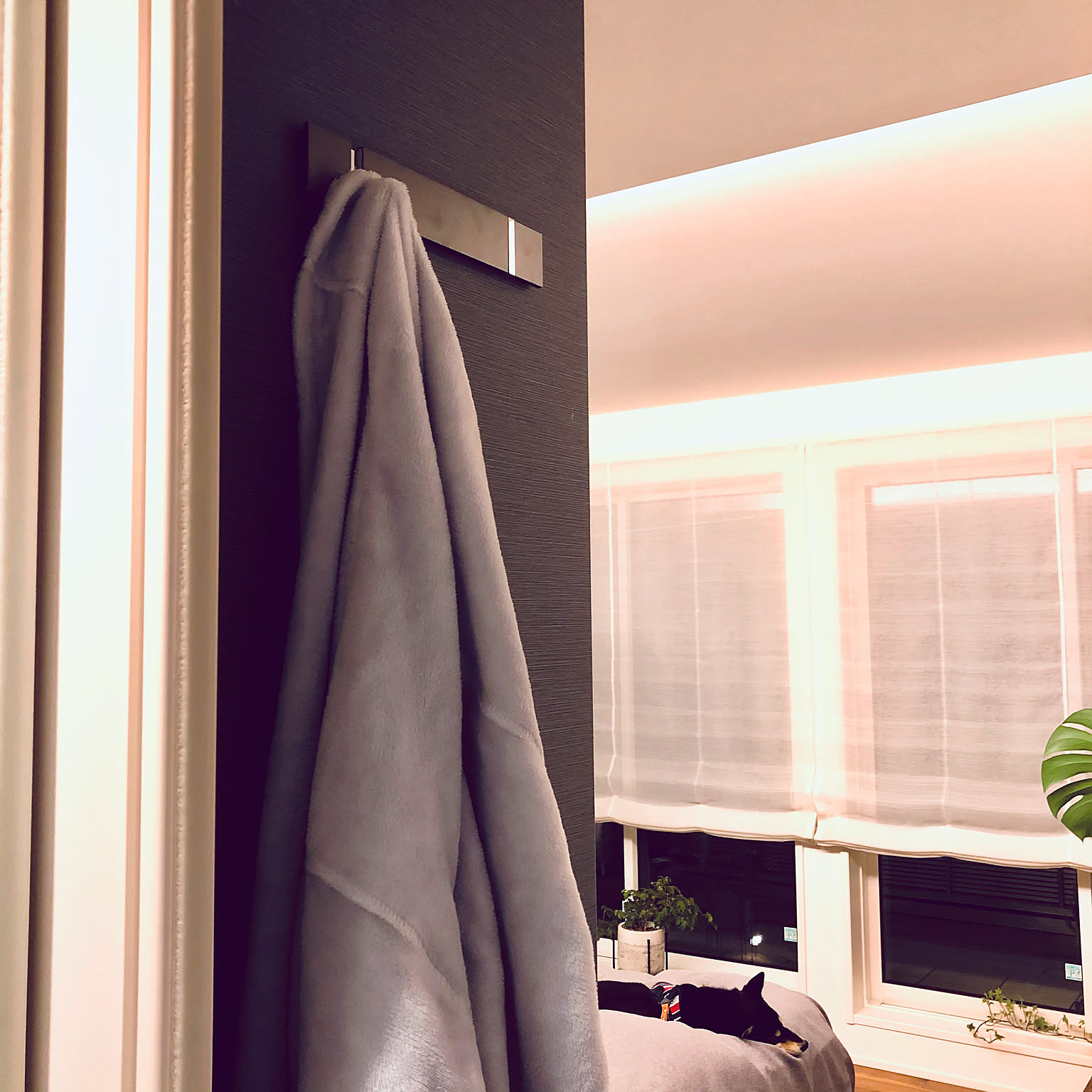 冬をもっと快適に！ぽかぽかアイテムであたたかく過ごす部屋づくり
