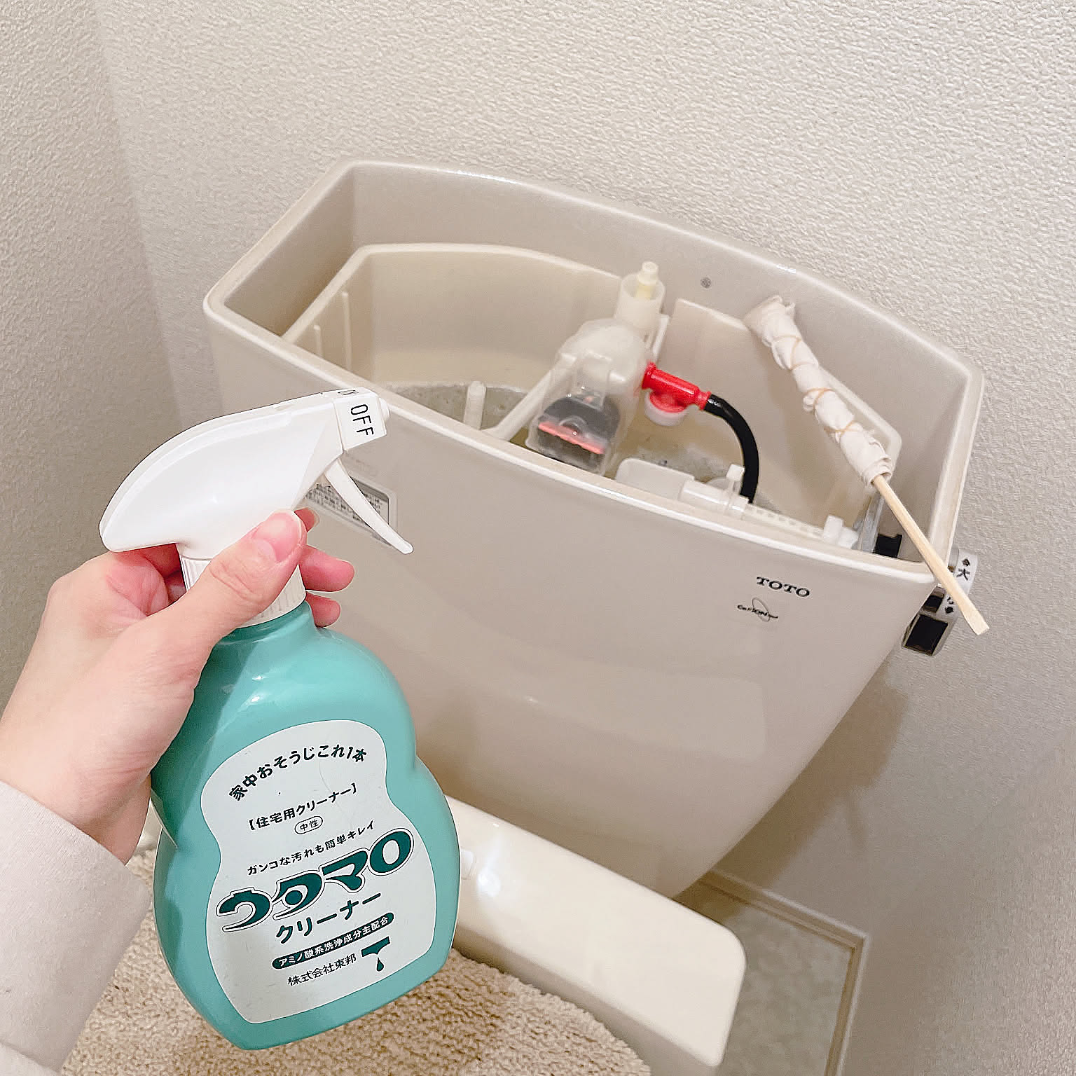 いつでも清潔で快適な空間に!トイレ掃除のアイデア集