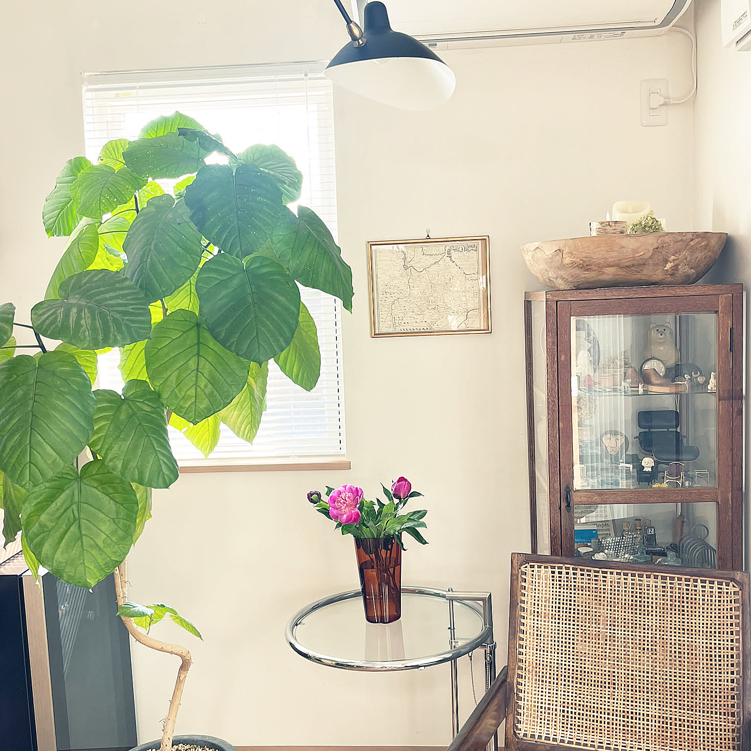 【今週の〇〇】テーマは「植物のある暮らし」！最新の投稿写真をピックアップ