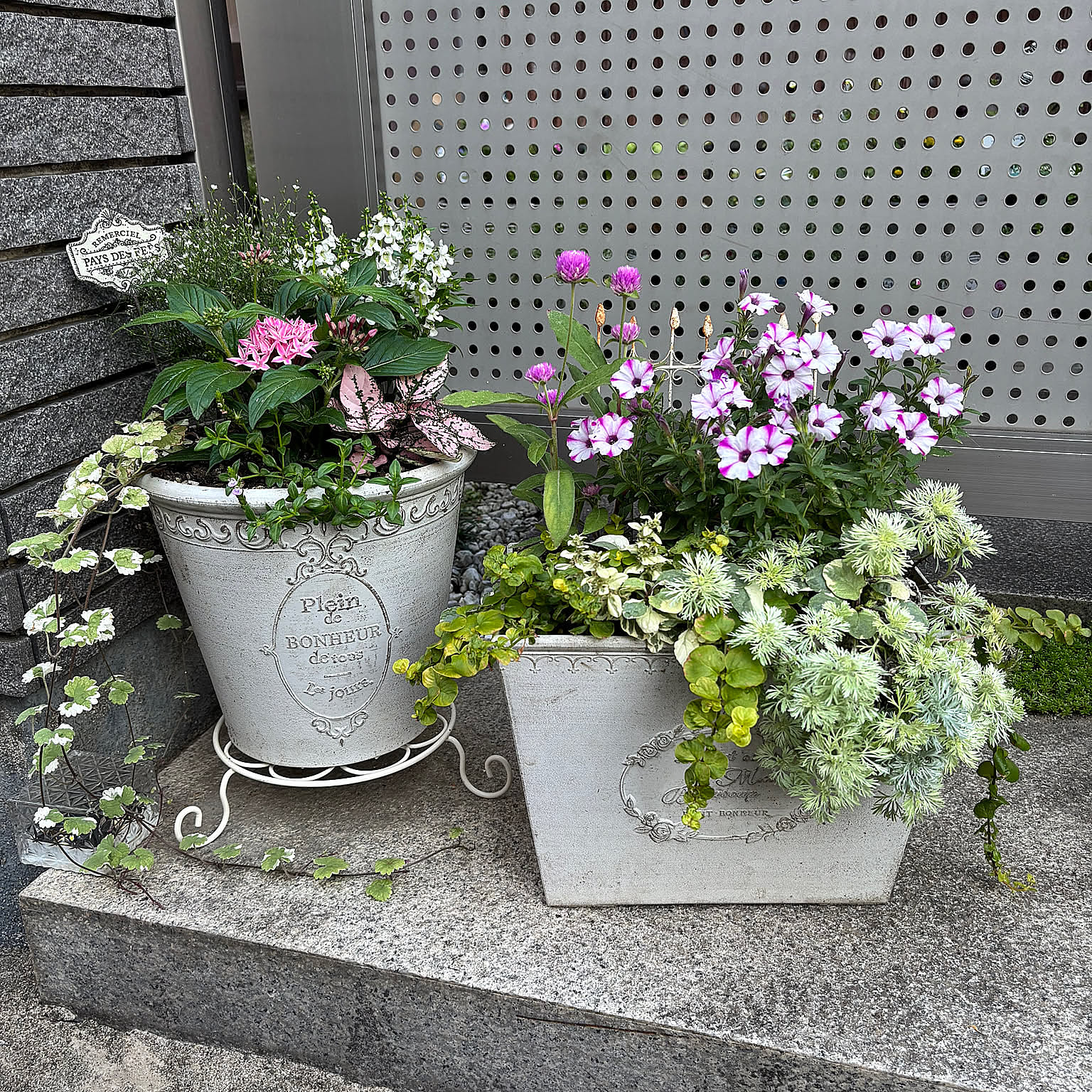 【今週の〇〇】テーマは「植物のある暮らし」！最新の投稿写真をピックアップ