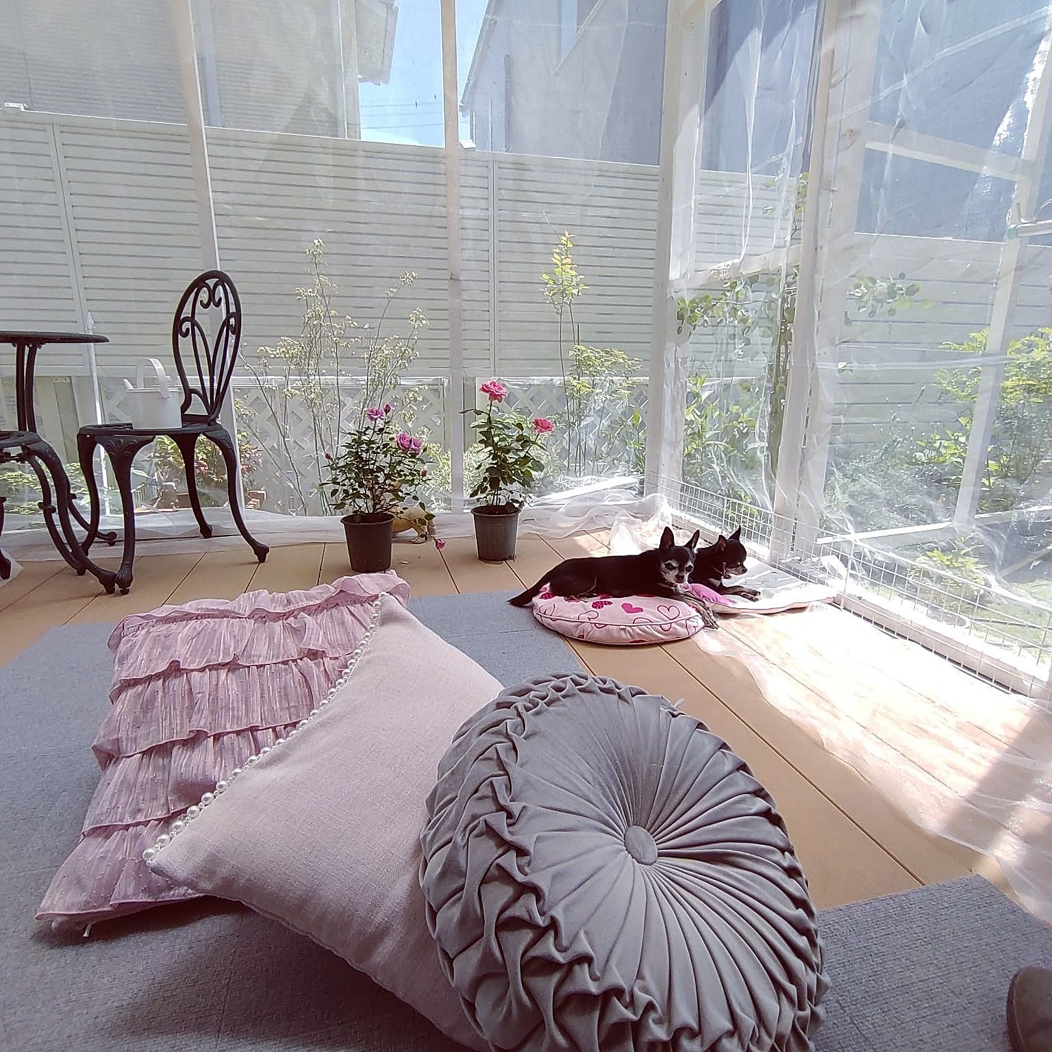 もう虫に悩まされたくない！参考にしたい、みんなの虫よけ＆虫対策