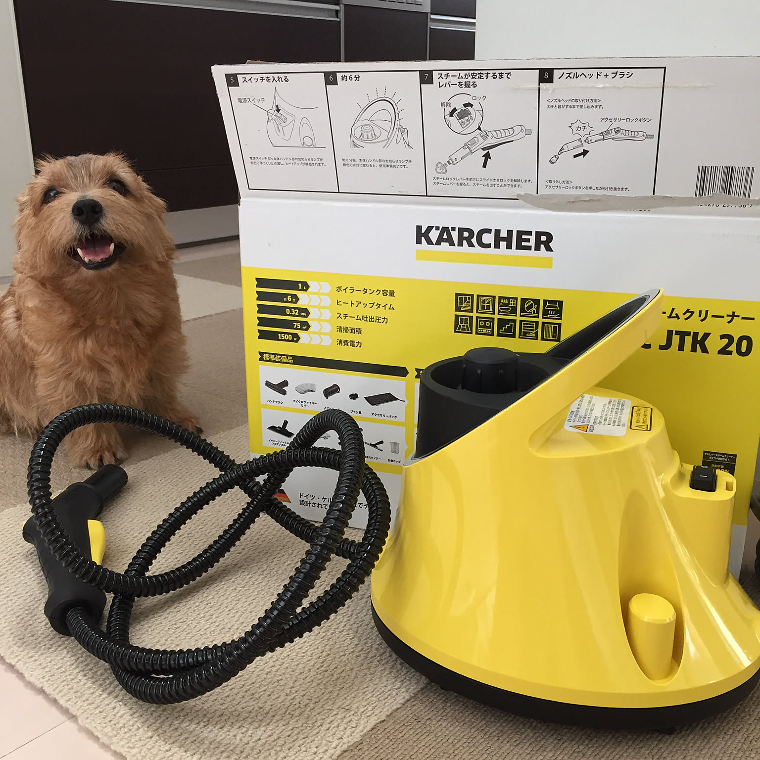キレイに安全に☆ペットも人も快適に過ごせる工夫と対策