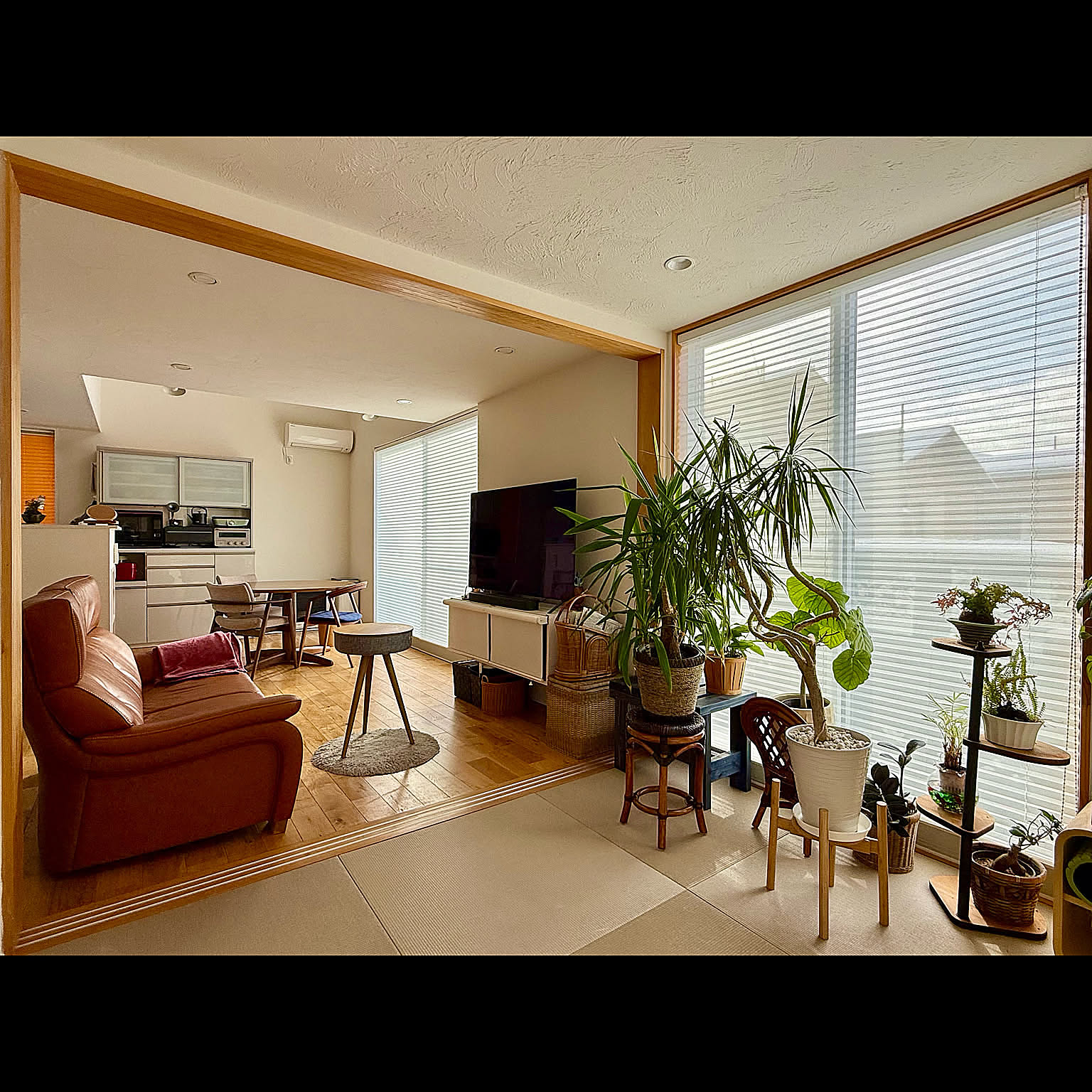 【今週の〇〇】テーマは「植物のある暮らし」！最新の投稿写真をピックアップ