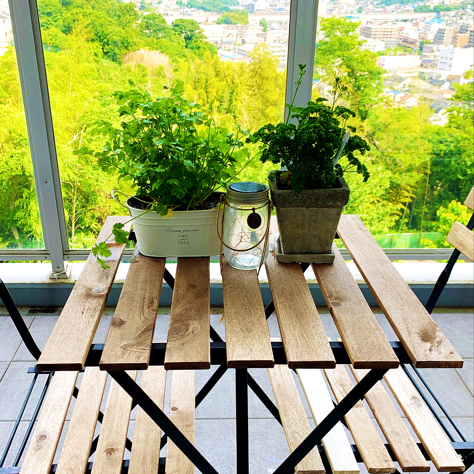 自分で育てたものを食卓へ☆好みの植物で始めるベランダ菜園