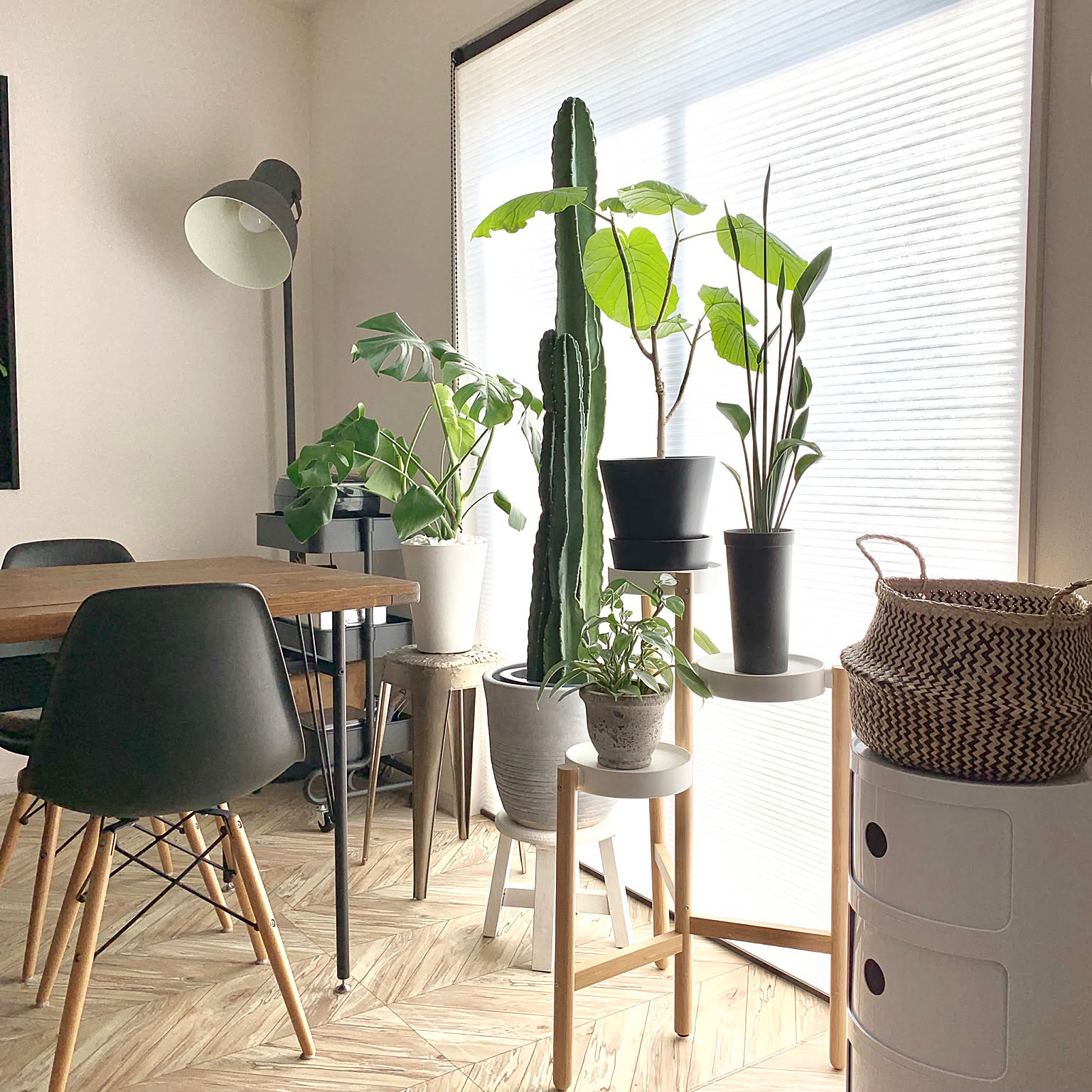 インテリアも植物も大好きだから選びたい♡IKEAの植物まわりアイテム