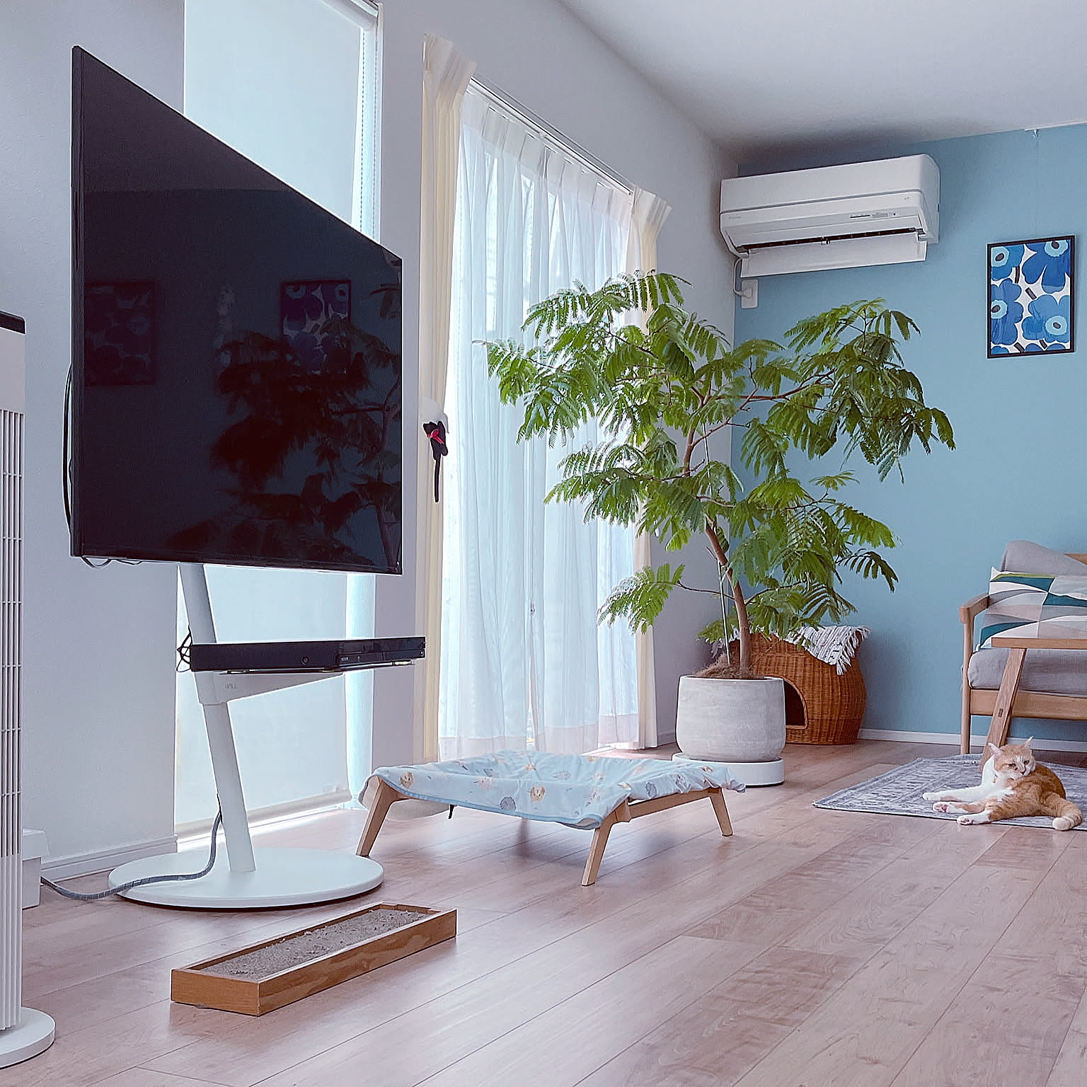 高さ調整や移動もできて便利♪レイアウトが広がるテレビスタンドのあるお部屋