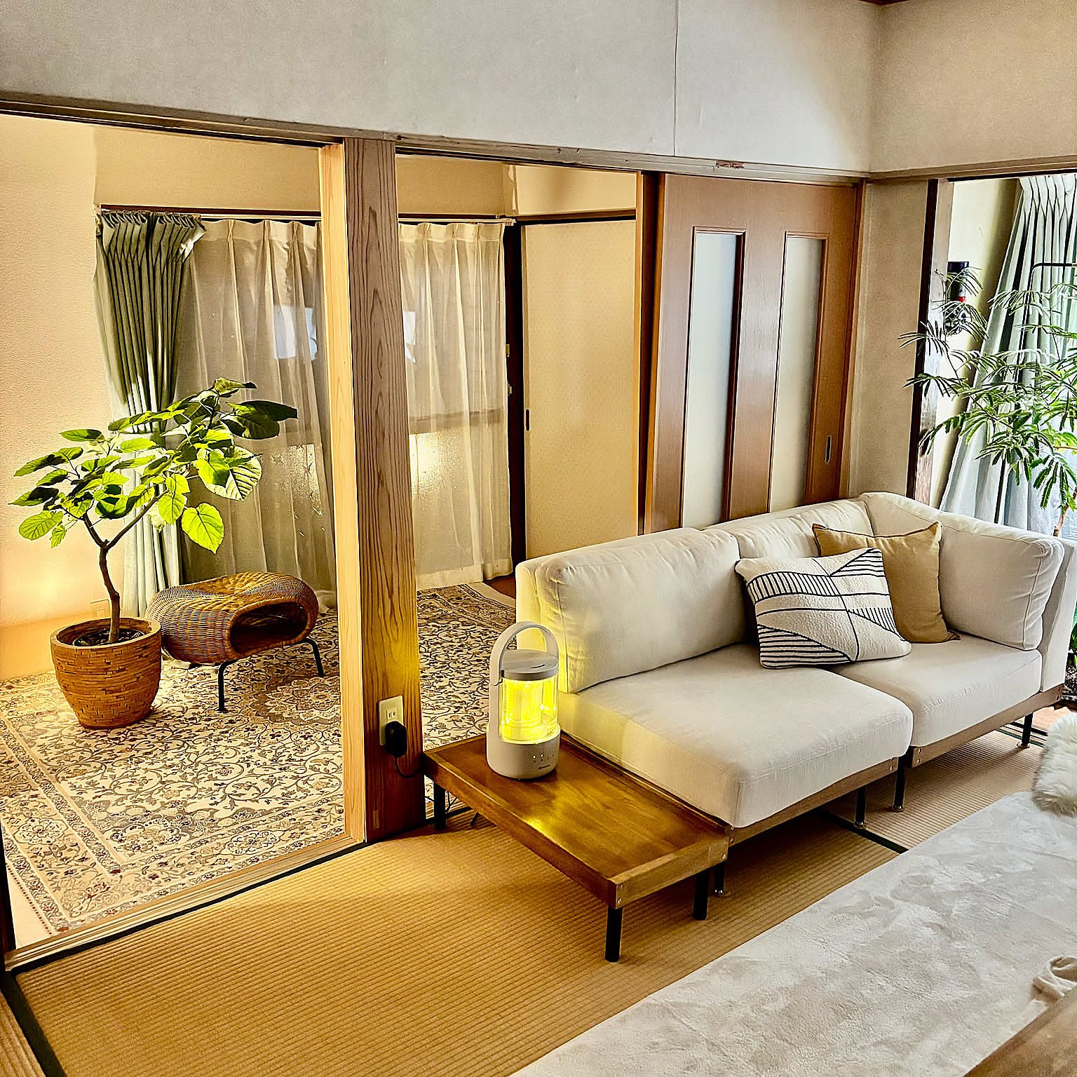 【今週の〇〇】テーマは「植物のある暮らし」！最新の投稿写真をピックアップ