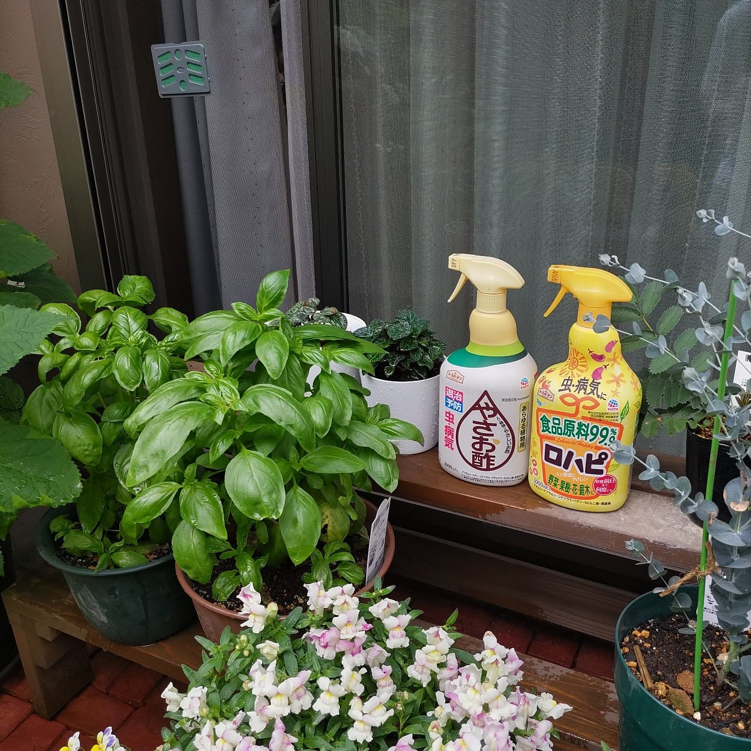 お花や野菜を健やかに育てたい♪植物を虫と病気から守る2つの“やさしい”アイテムとは？