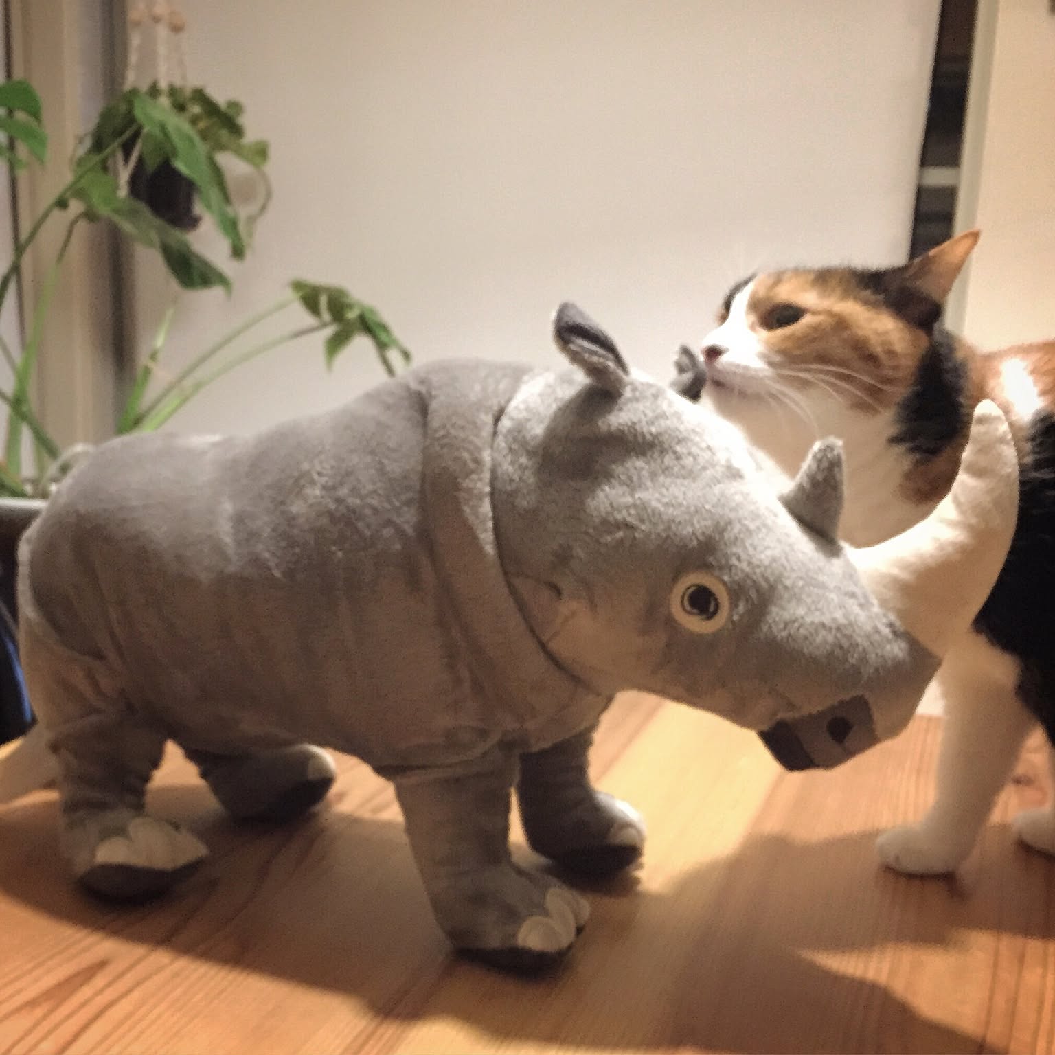 子どももペットも大喜び♡フレンドリーなIKEAのソフトトイ