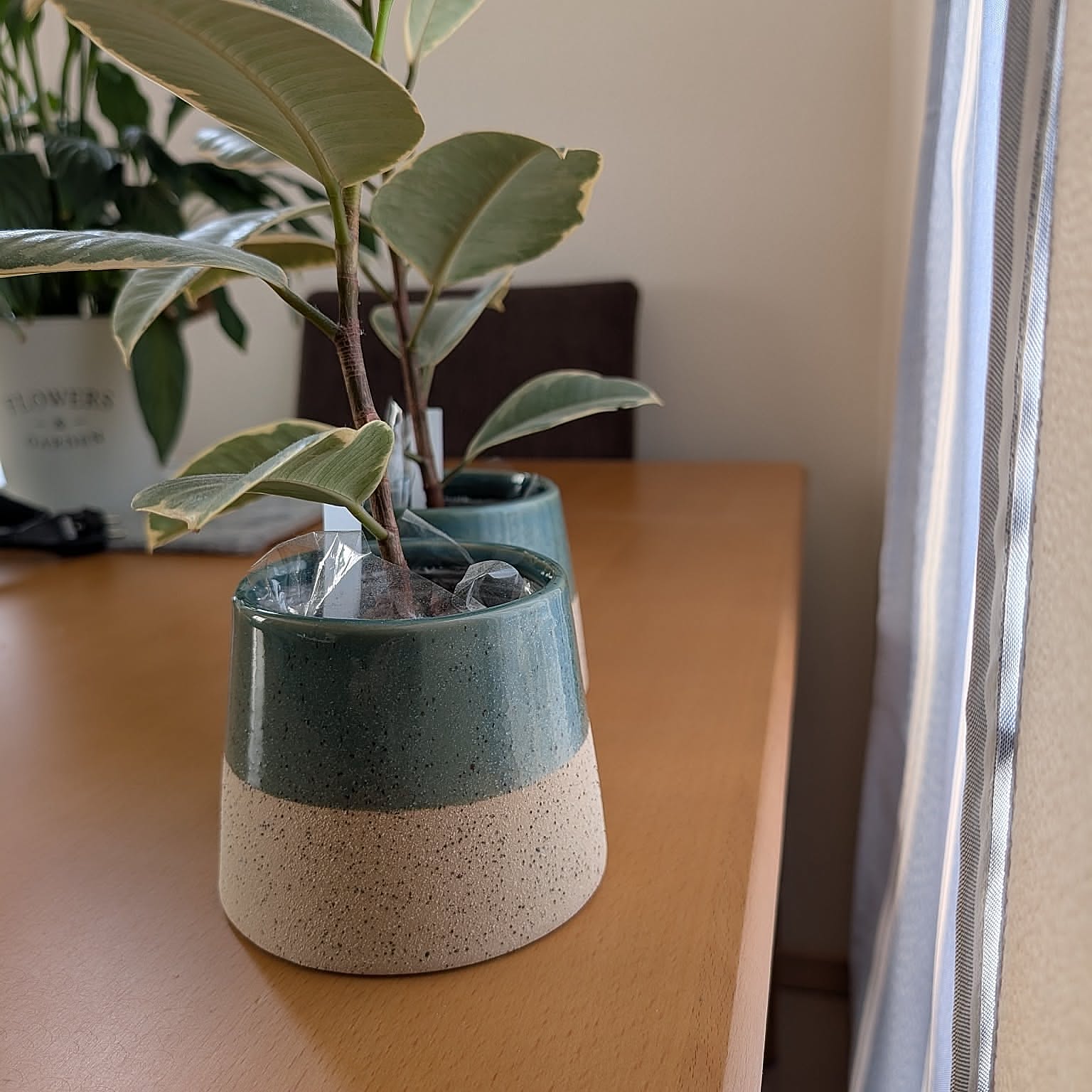 【みんなが選んだ！】置くだけでグリーンが映える！Standard Productsの植木鉢4選