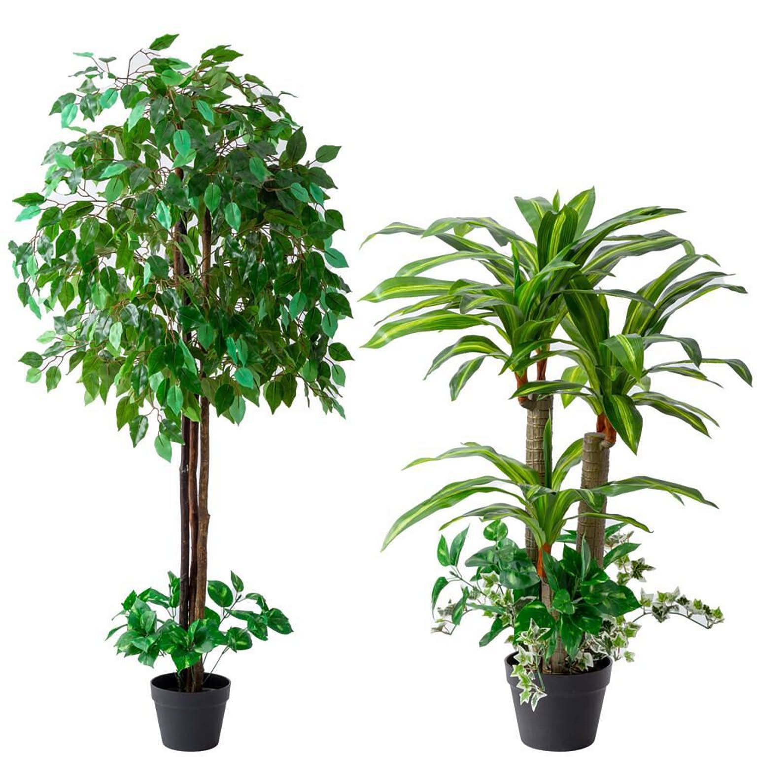 インテリアグリーン 2点セット フェイクグリーン 観葉植物 人工観葉植物 ベンジャミン 幸福の木 光触媒 造花 インテリア お手入れ簡単 殺菌 防臭 通販 Roomclipショッピング