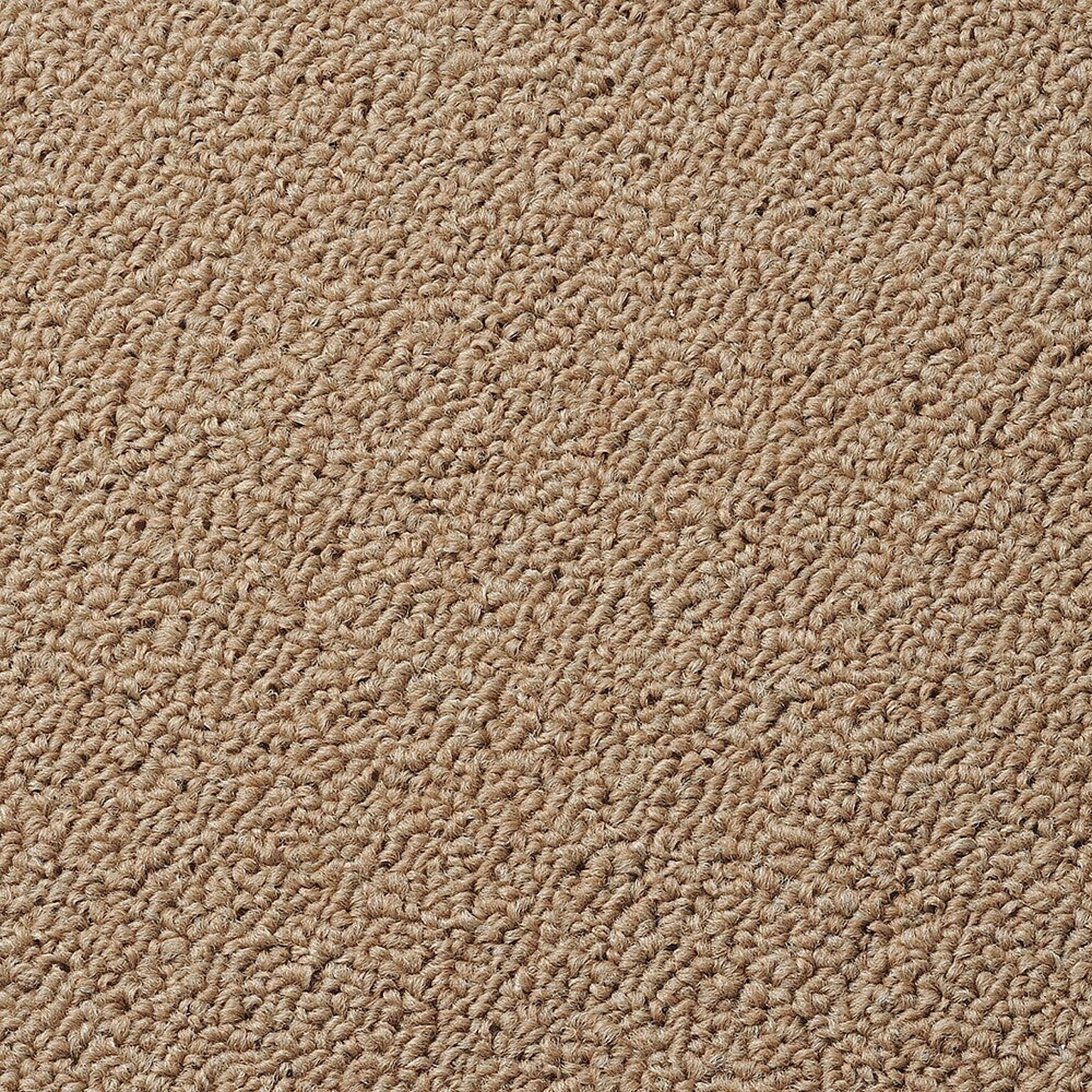 カーペット 6畳 6帖 絨毯 261×352 じゅうたん 抗菌 カーペット 江戸間6