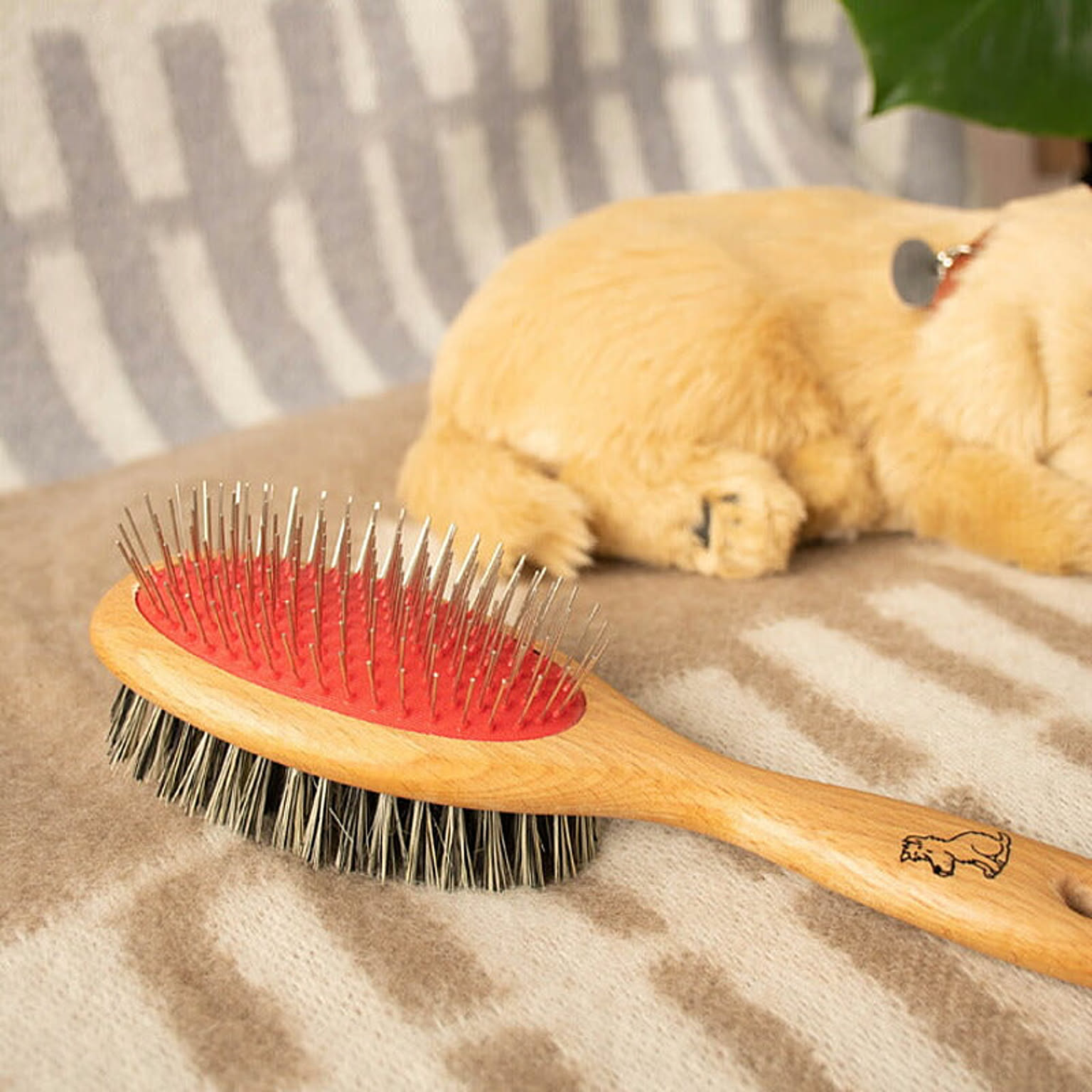 REDECKER ドッグブラシ（メタルピン×混合繊維） Dog Brush, Fibre / Union 通販 RoomClip