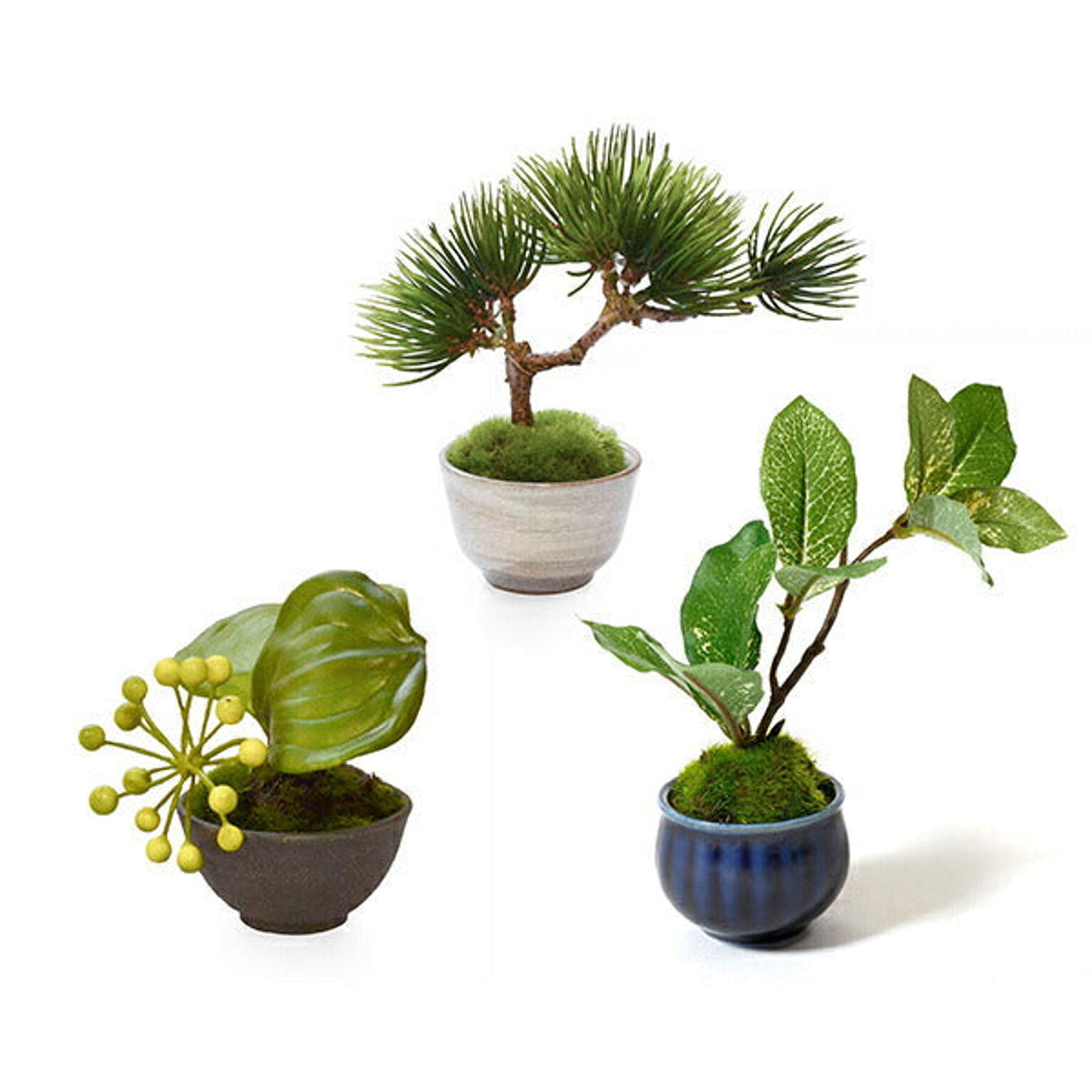 CUPBON 盆栽　ぐいのみ三個セット 青×黒A　フェイクグリーン PRGR-0933 プリマ