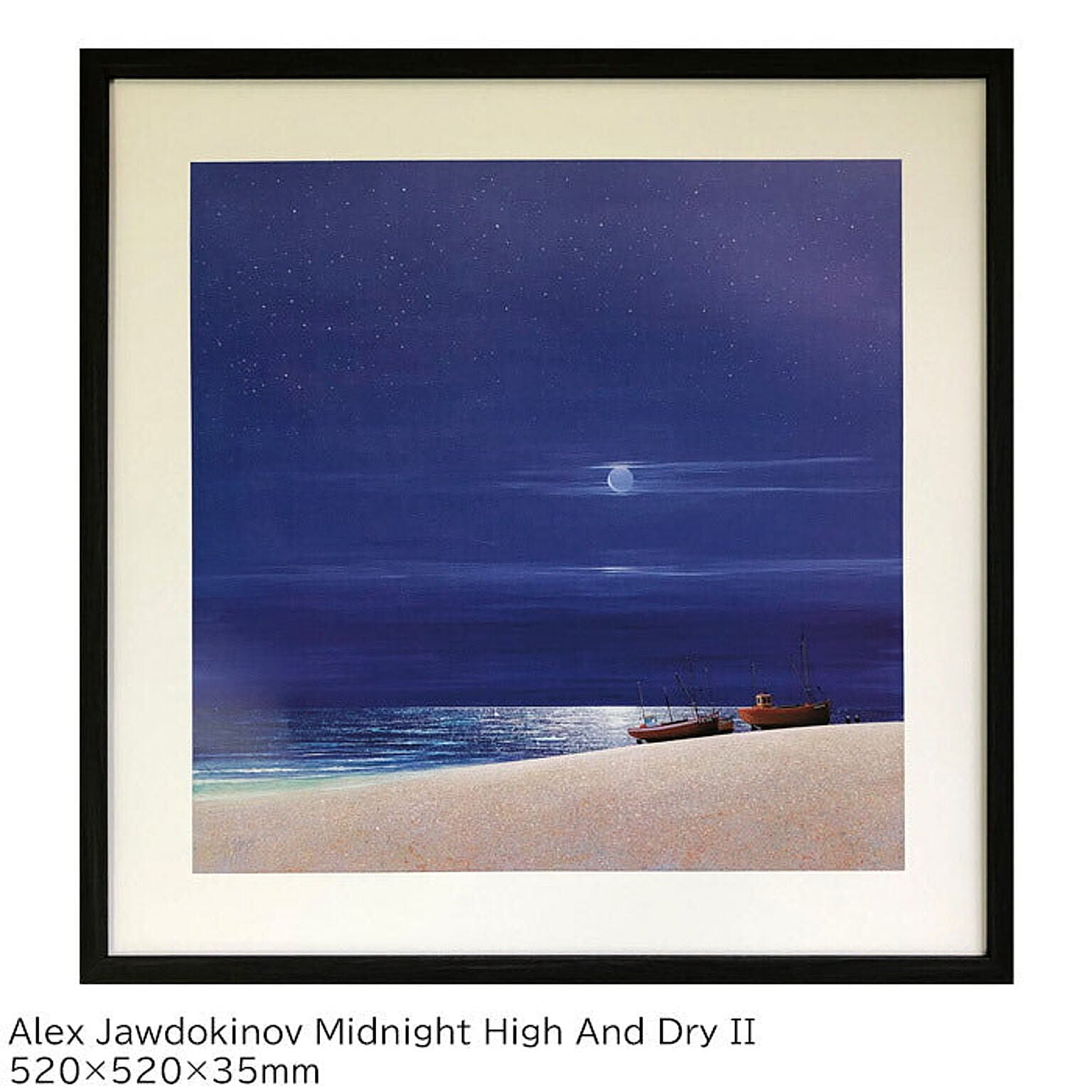 アートパネル アレックス ジョードキモフ Alex Jawdokinov Midnight High And Dry II アートフレーム IAJ-61656
