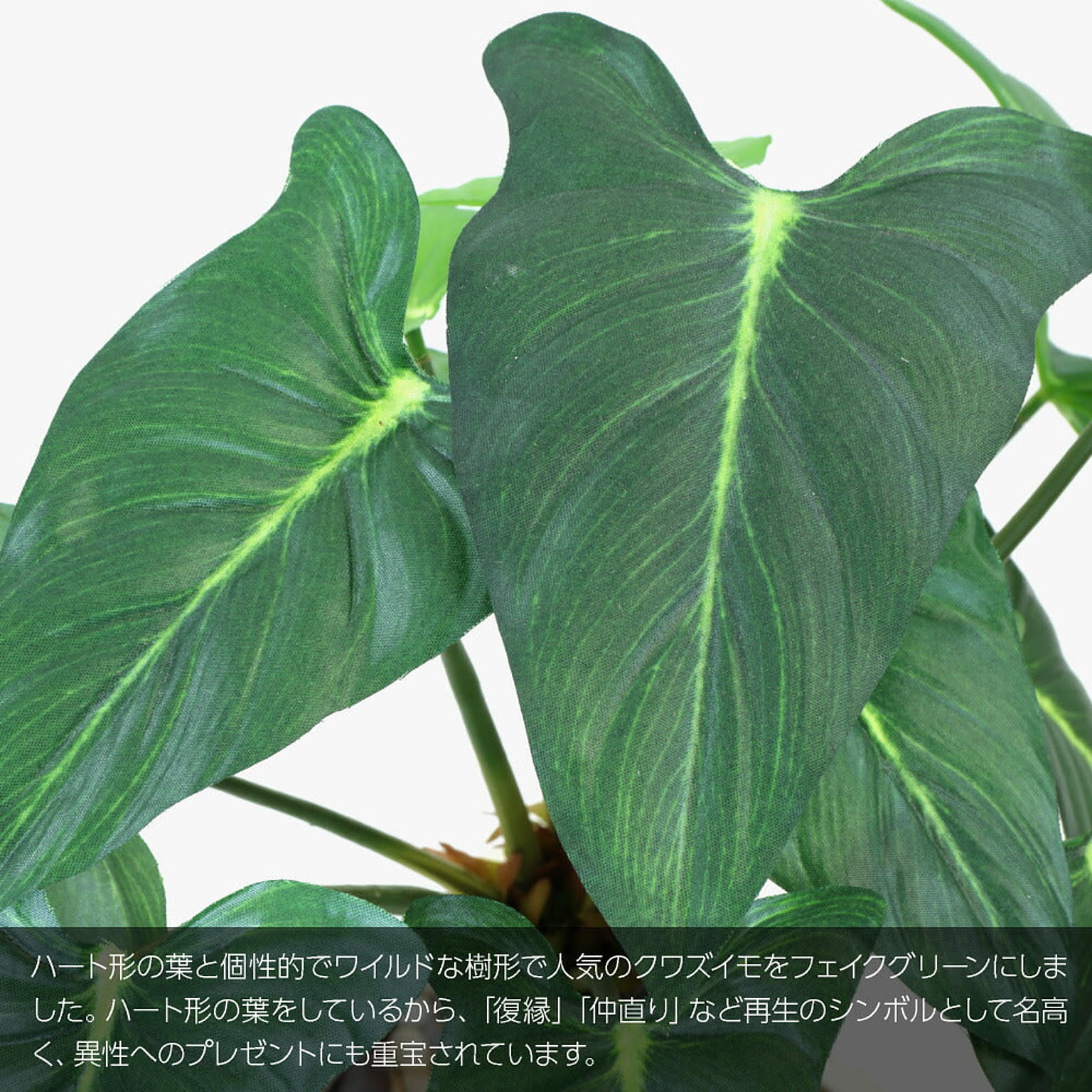 フェイクグリーン