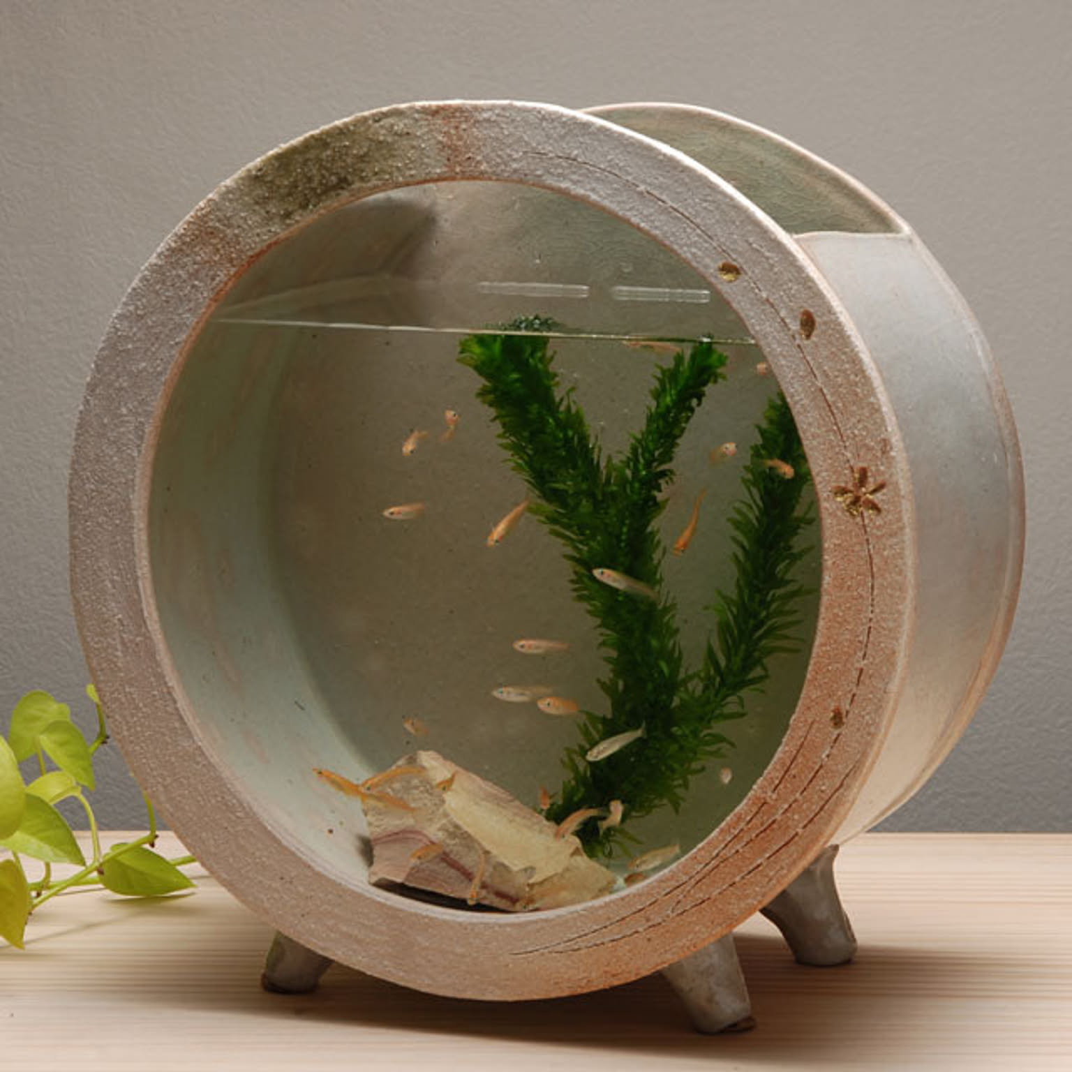 その他の動物のインテリア・その他の動物の家具