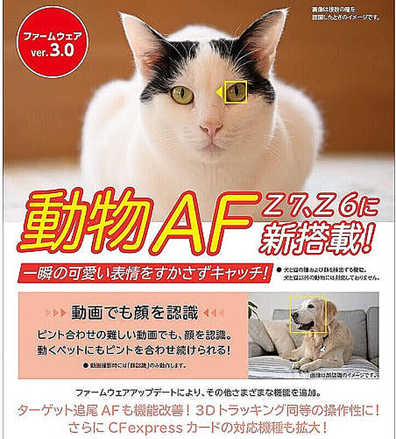 カメラ・カメラアクセサリ