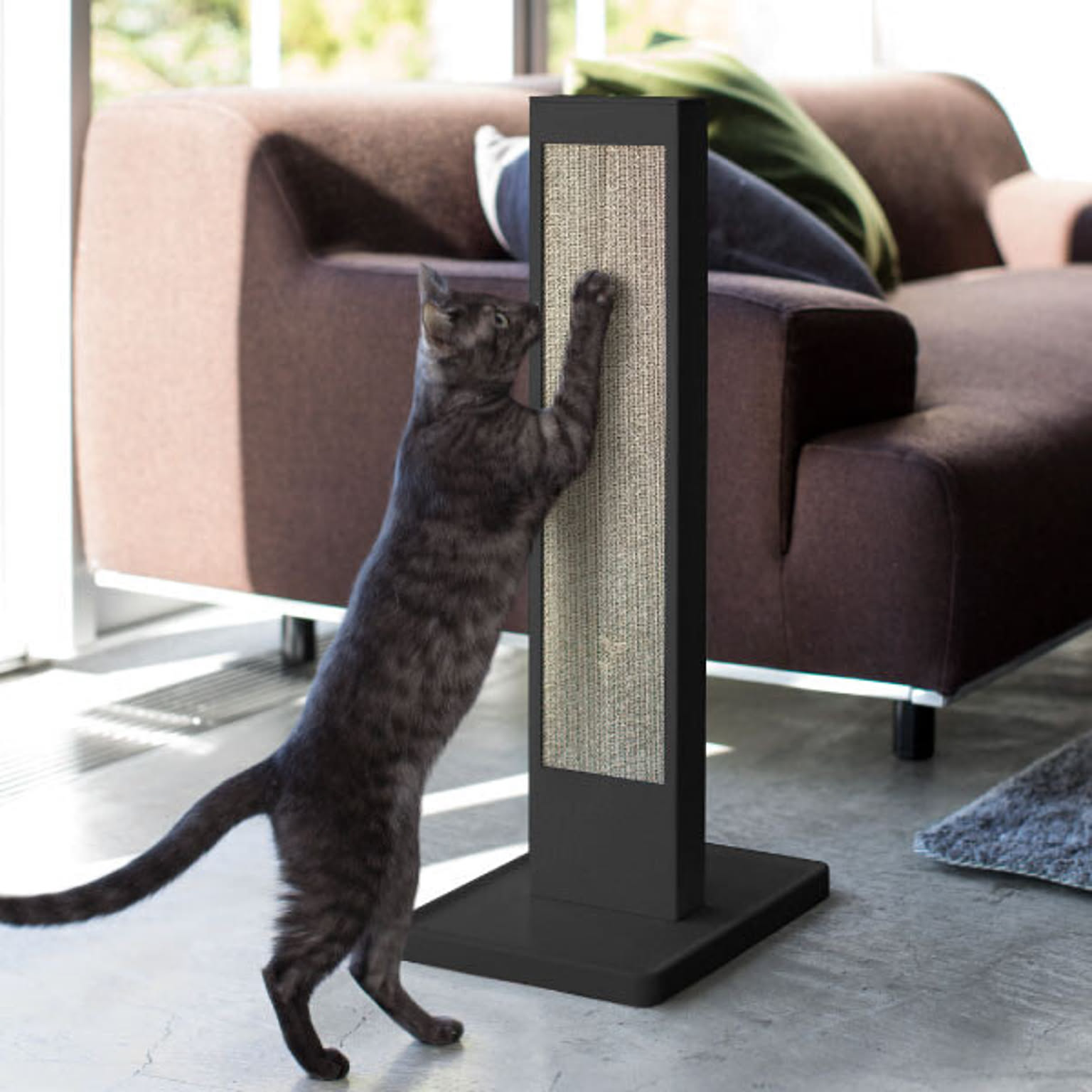 猫用インテリア・猫用家具