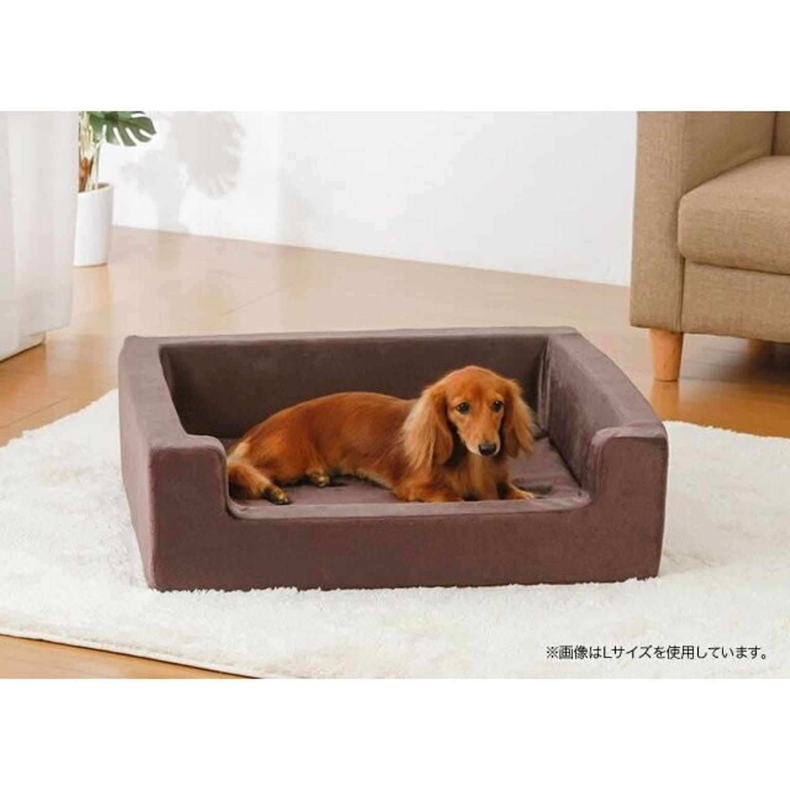 クッション
