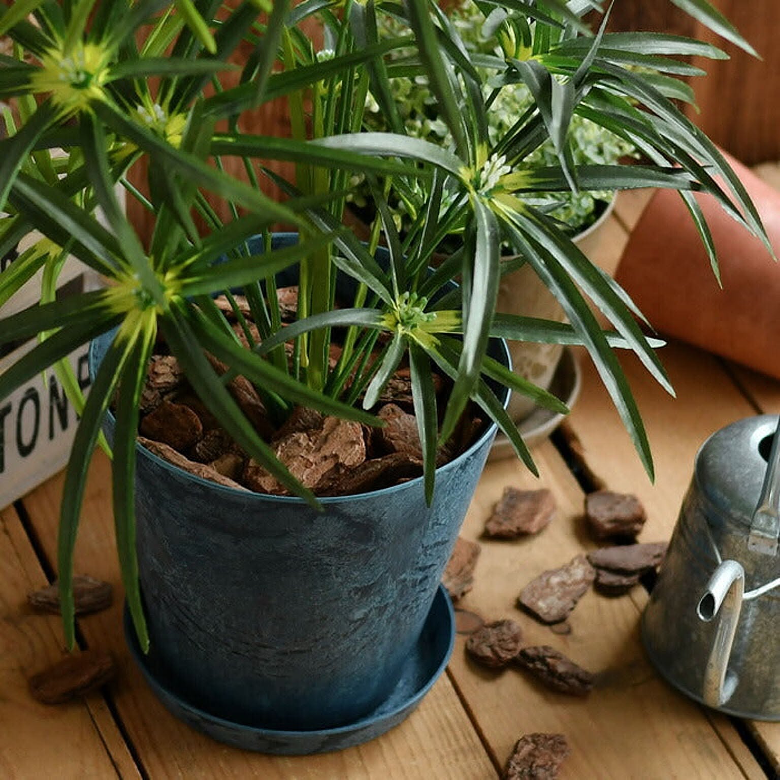 プランター・植木鉢