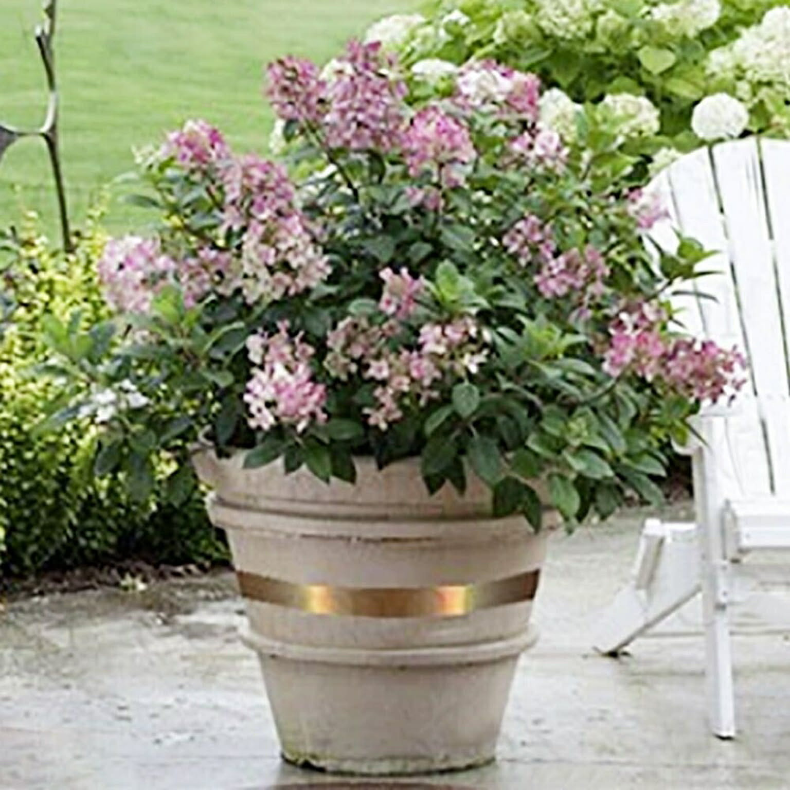 在庫限り 虫除け カタツムリ バリア 銅テープ ナメクジ 蛞蝓 蝸牛 防虫 虫よけ 銅のテープ 植木鉢 鉢 フラワー Flower 花 華 守る ベランダ 玄関 予防 畑 家庭 通販 Roomclipショッピング