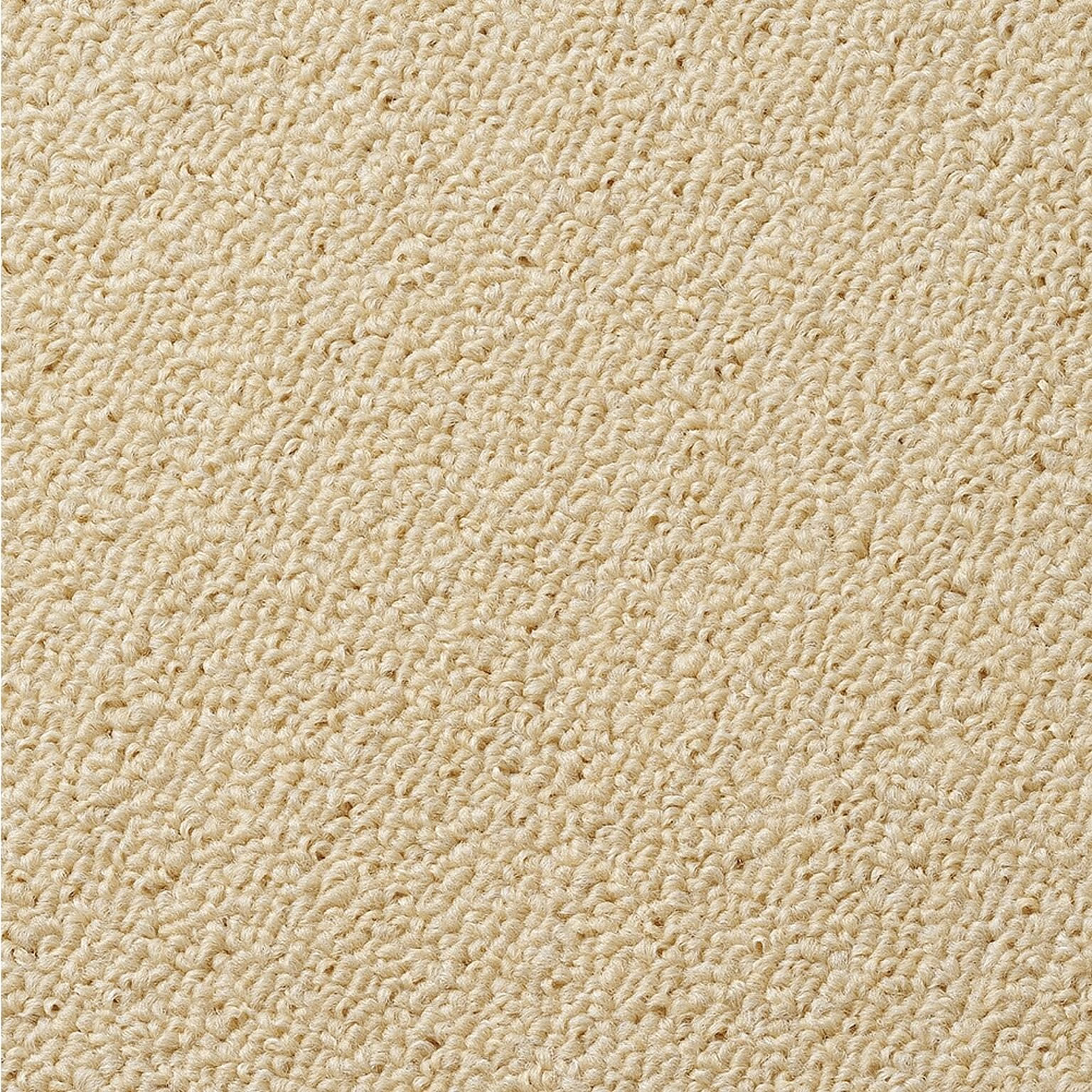 絨毯 カーペット 江戸間 八畳 カラフルループ (Y) 8帖 約352×352cm 8畳 ジュータン ホットカーペット対応 日本製 防ダニ 抗菌 シンプル 無地 遊び毛が出にくい 引っ越し 新生活