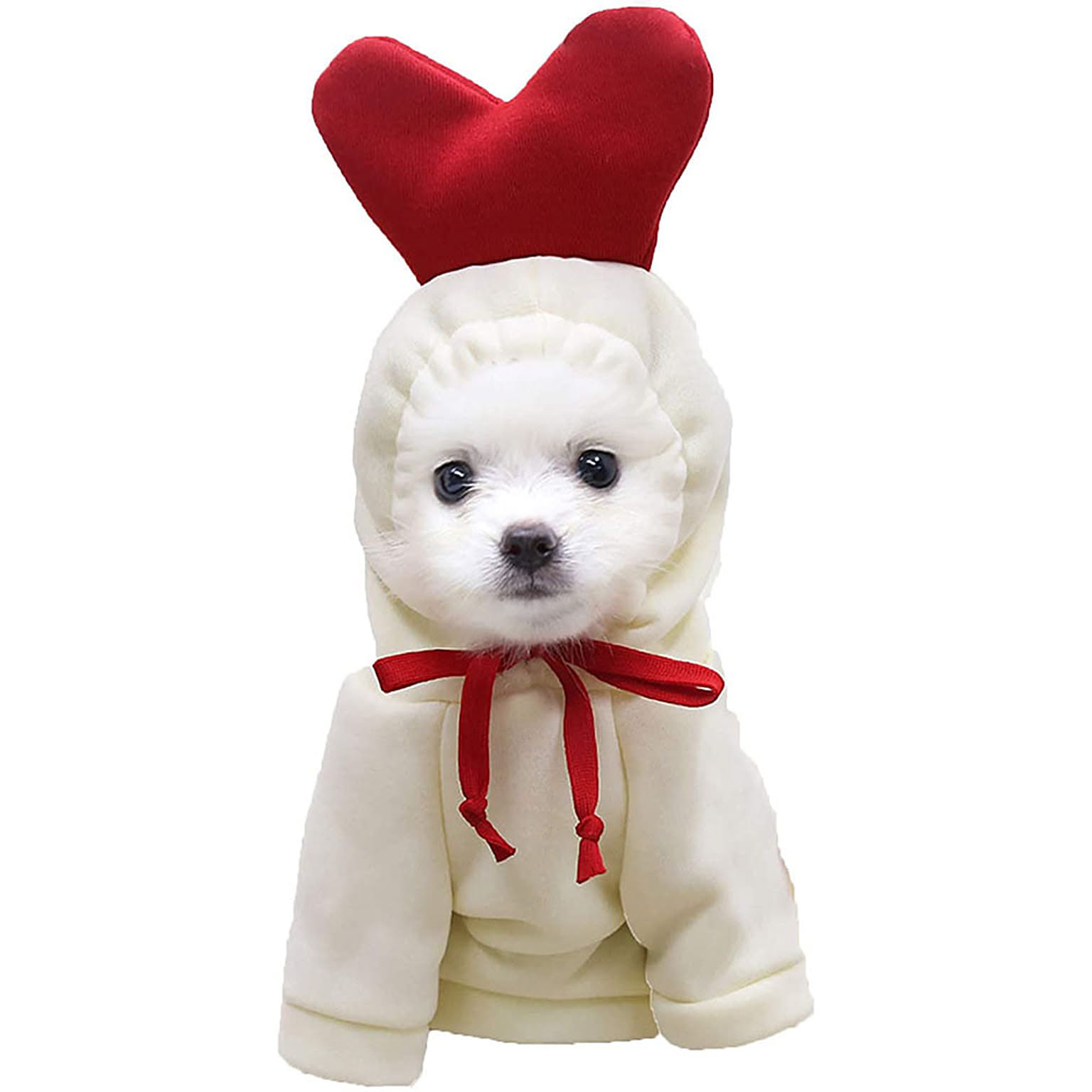 犬用インテリア・犬用家具