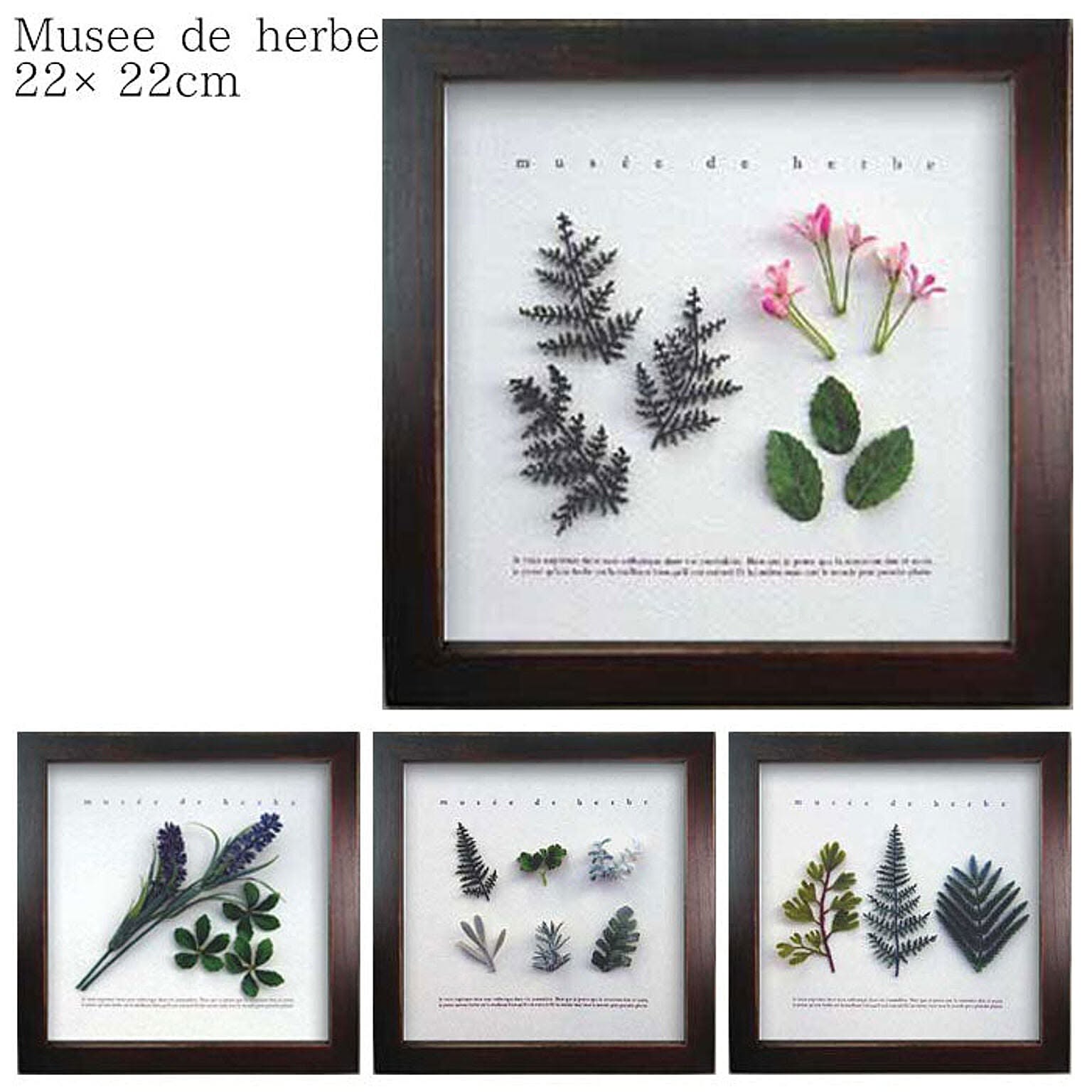 ハーブフレーム フラワーフレーム アートフレーム 花 植物 Musee de herbe