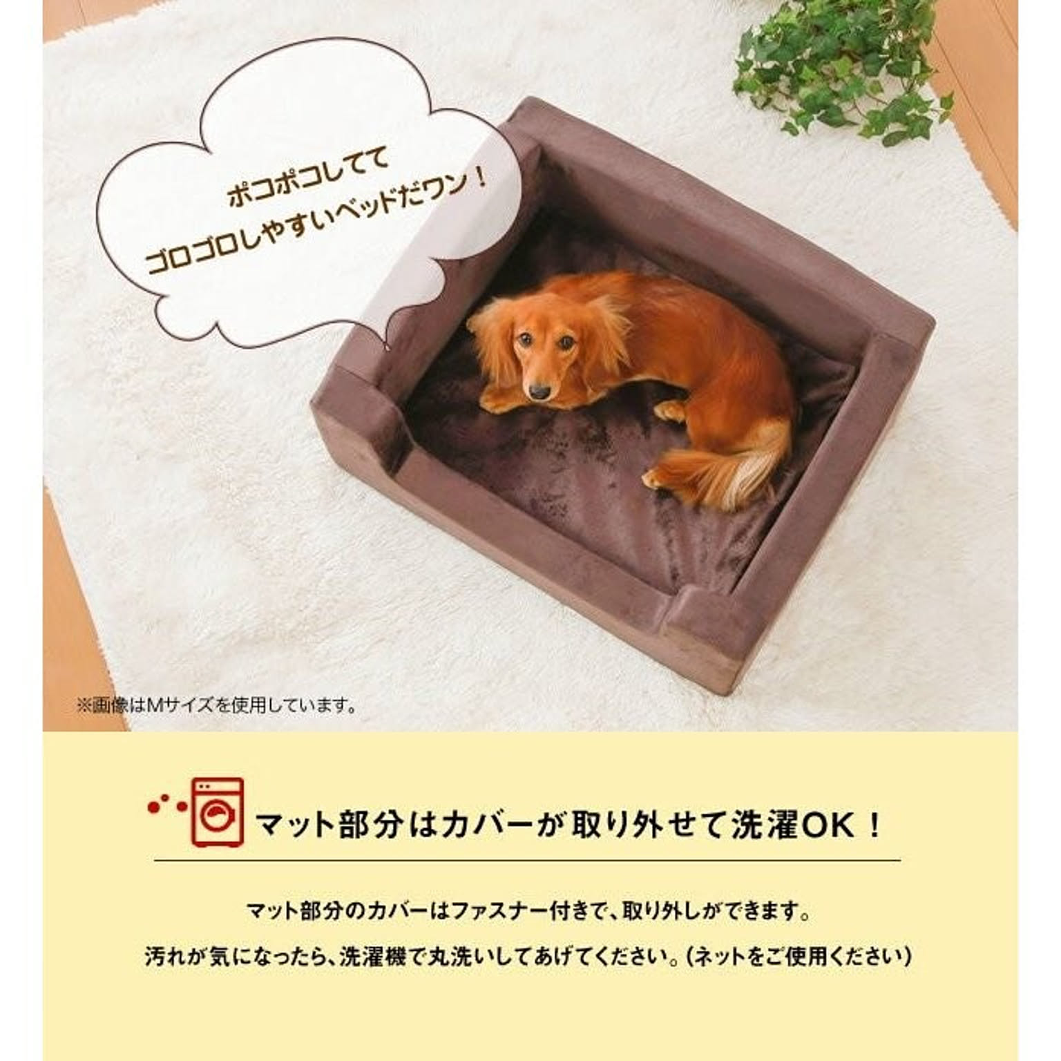 クッション