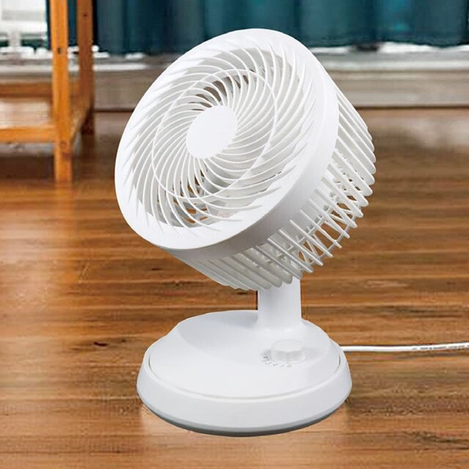 犬 扇風機 サーキュレーターのインテリア実例 Roomclip ルームクリップ