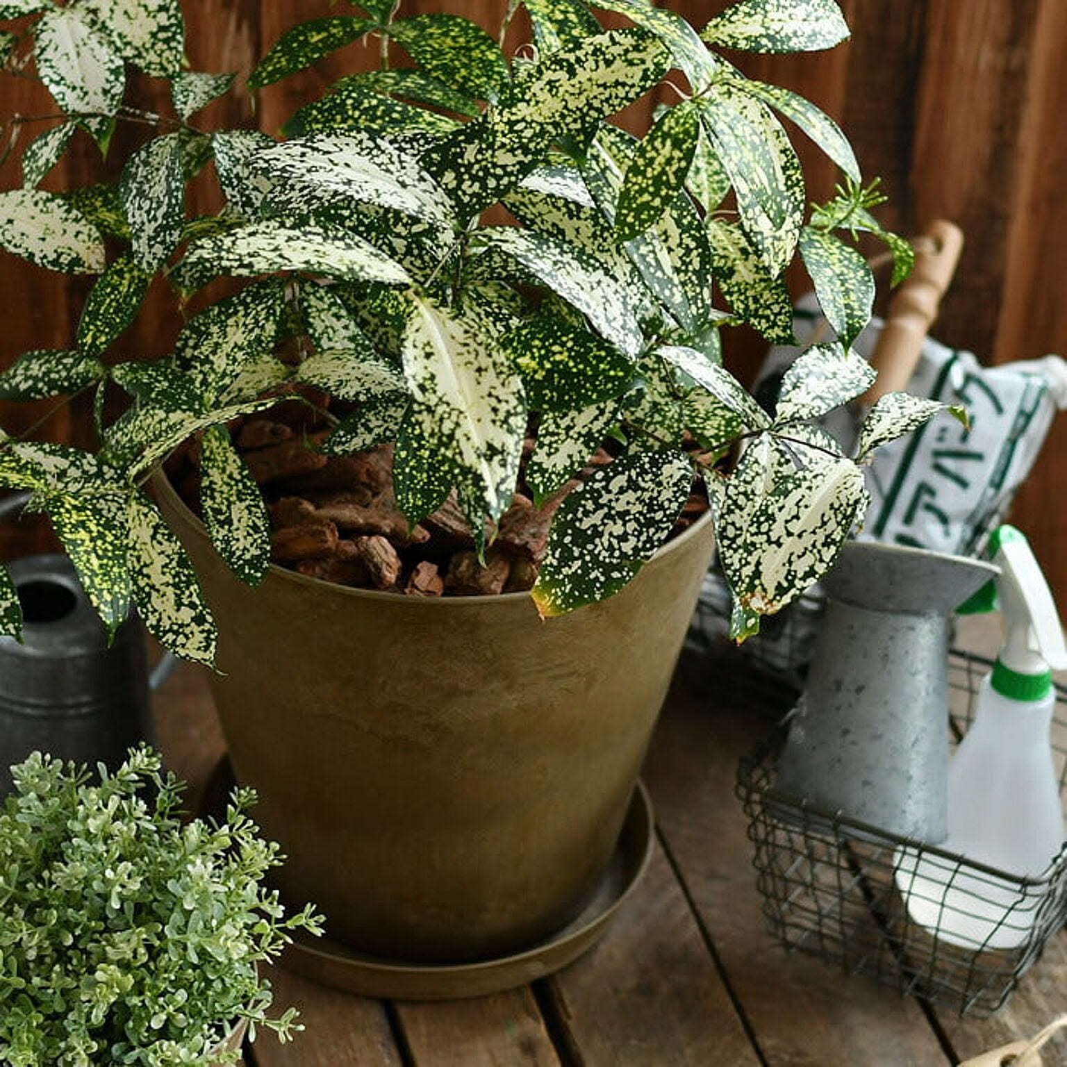 プランター・植木鉢