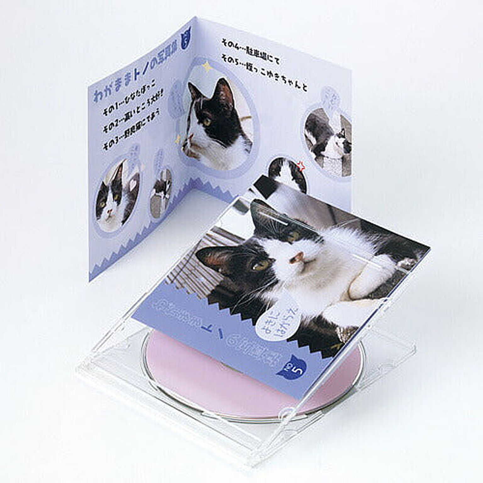 サンワサプライ インクジェットCD・DVDケースカード(見開き・つやなしマット) JP-IND2N 管理No. 4969887425978