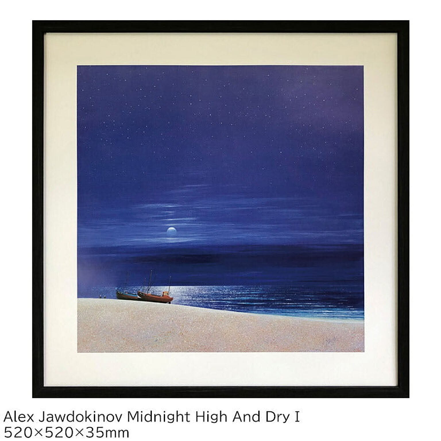 アートパネル アレックス ジョードキモフ Alex Jawdokinov Midnight High And Dry I アートフレーム IAJ-61655