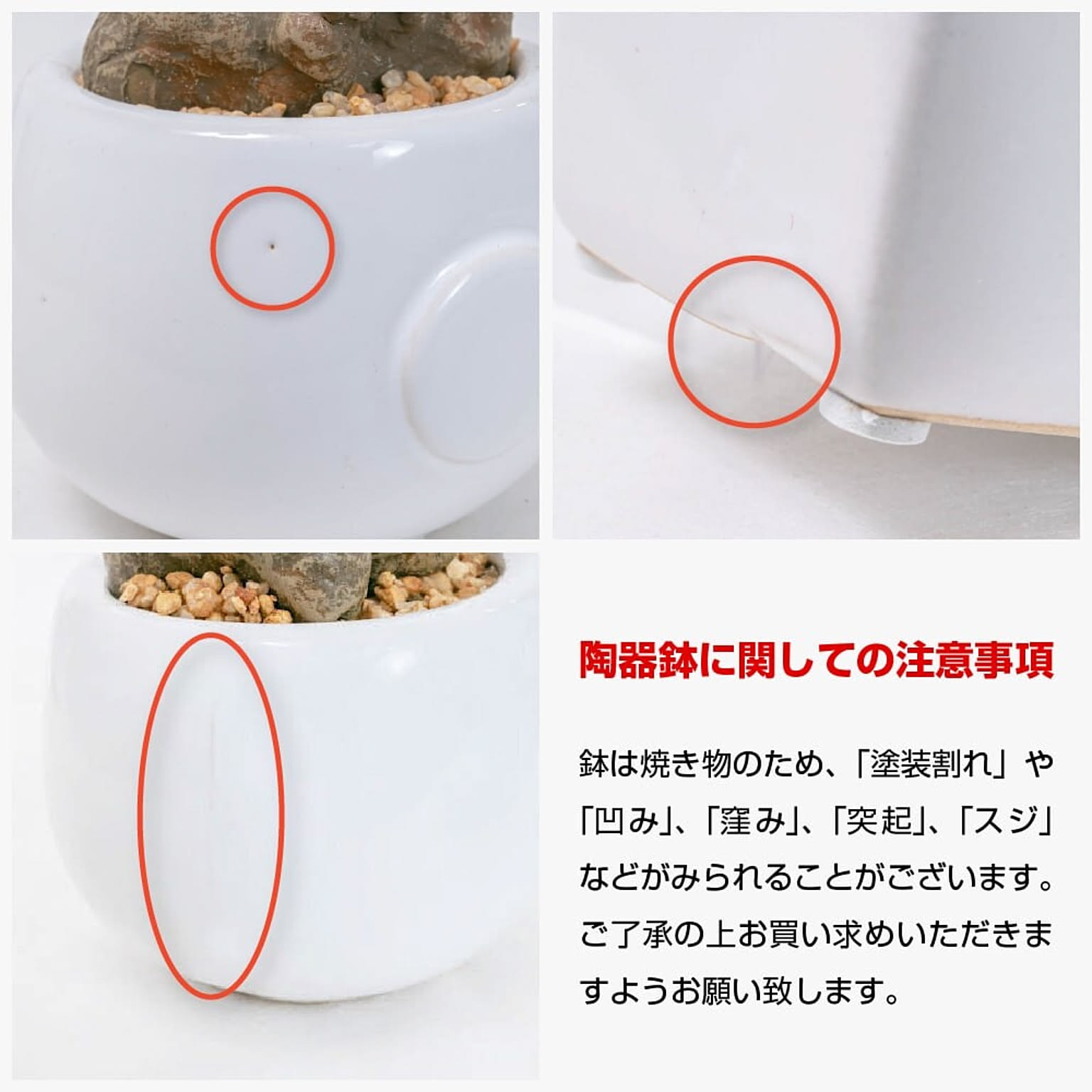 フェイクグリーン
